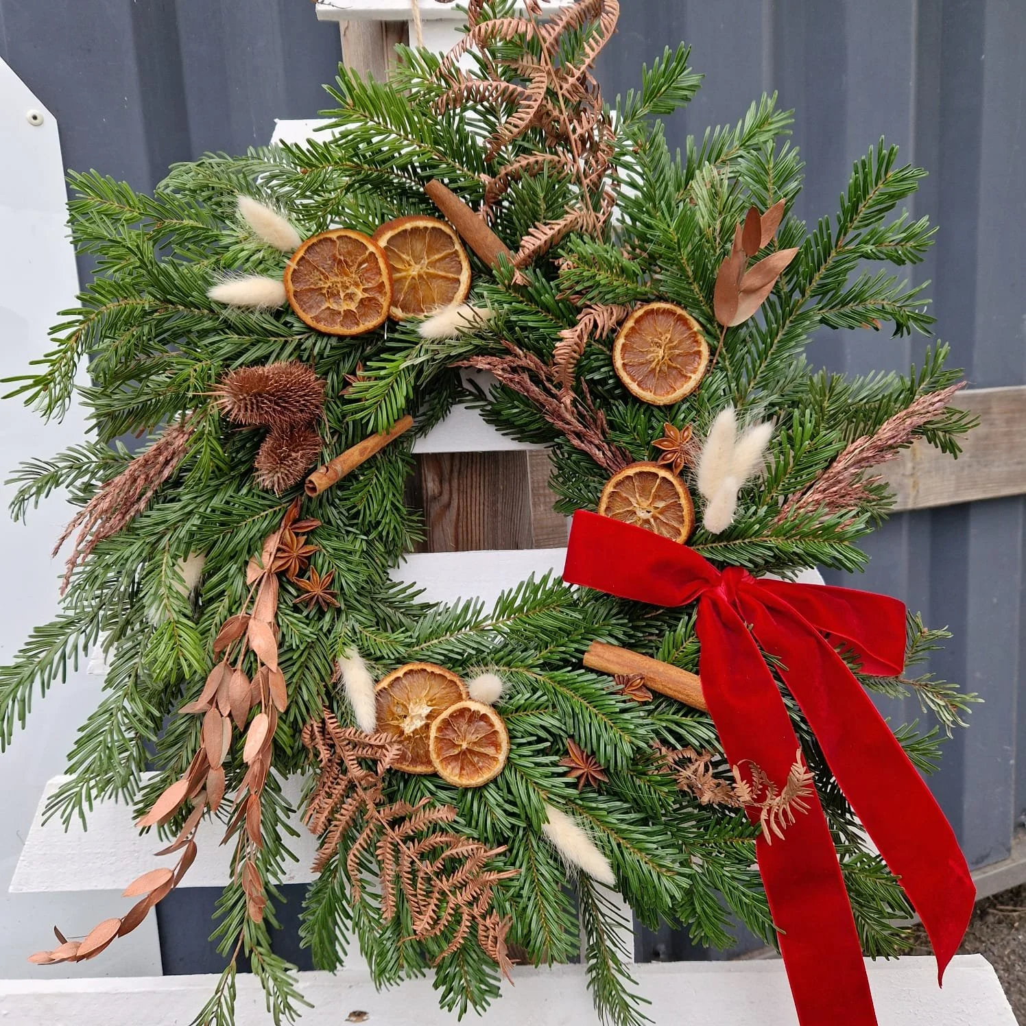 WhatsApp Image 2025-11-22 at 17.27.36(1).jpeg