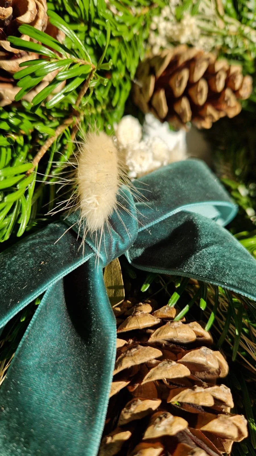 WhatsApp Image 2025-11-22 at 17.27.36.jpeg