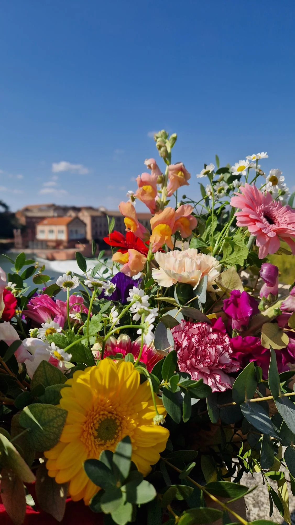 Bouquet de fleurs fraîches