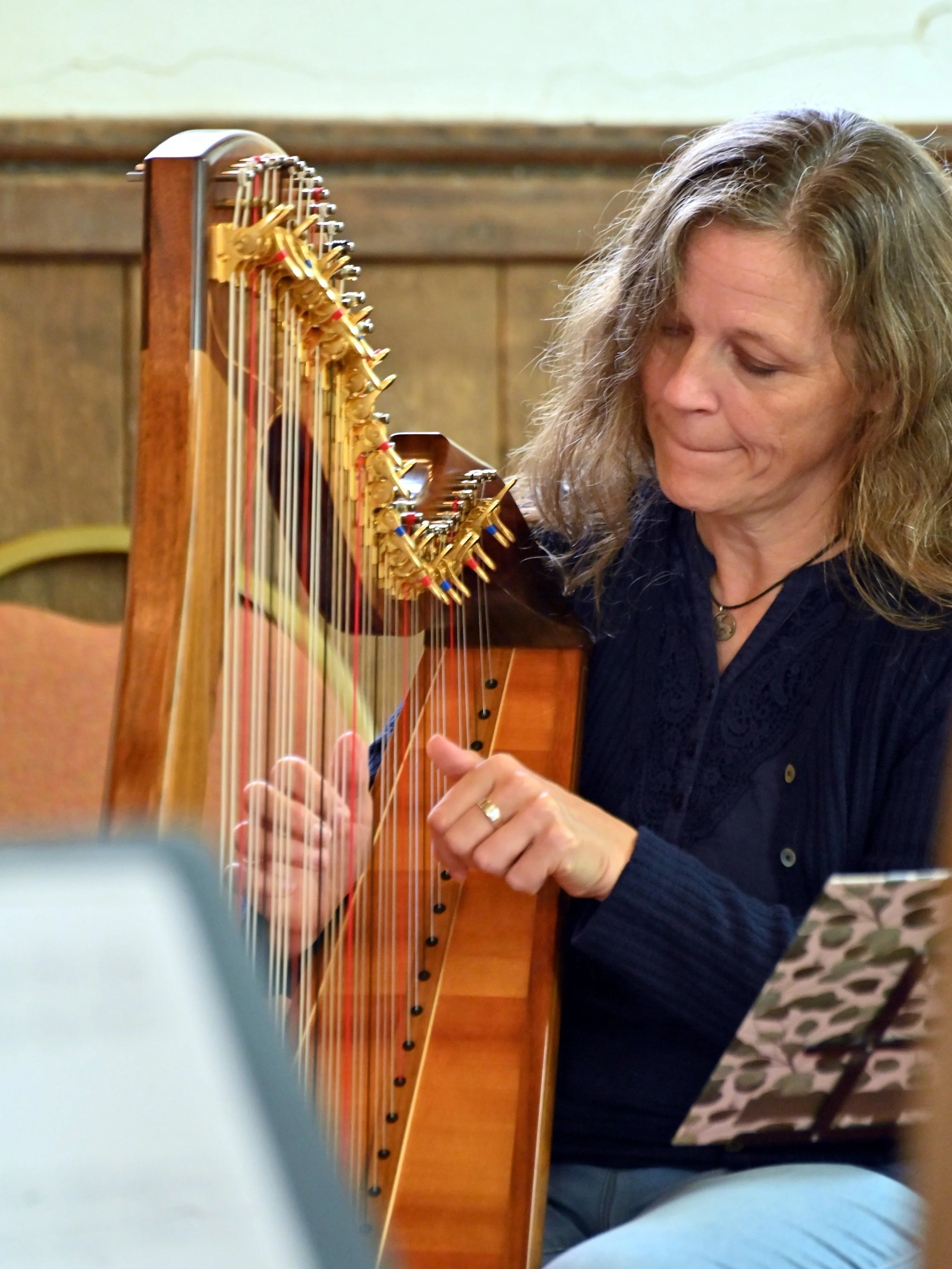 Harp Workshop (3).JPG
