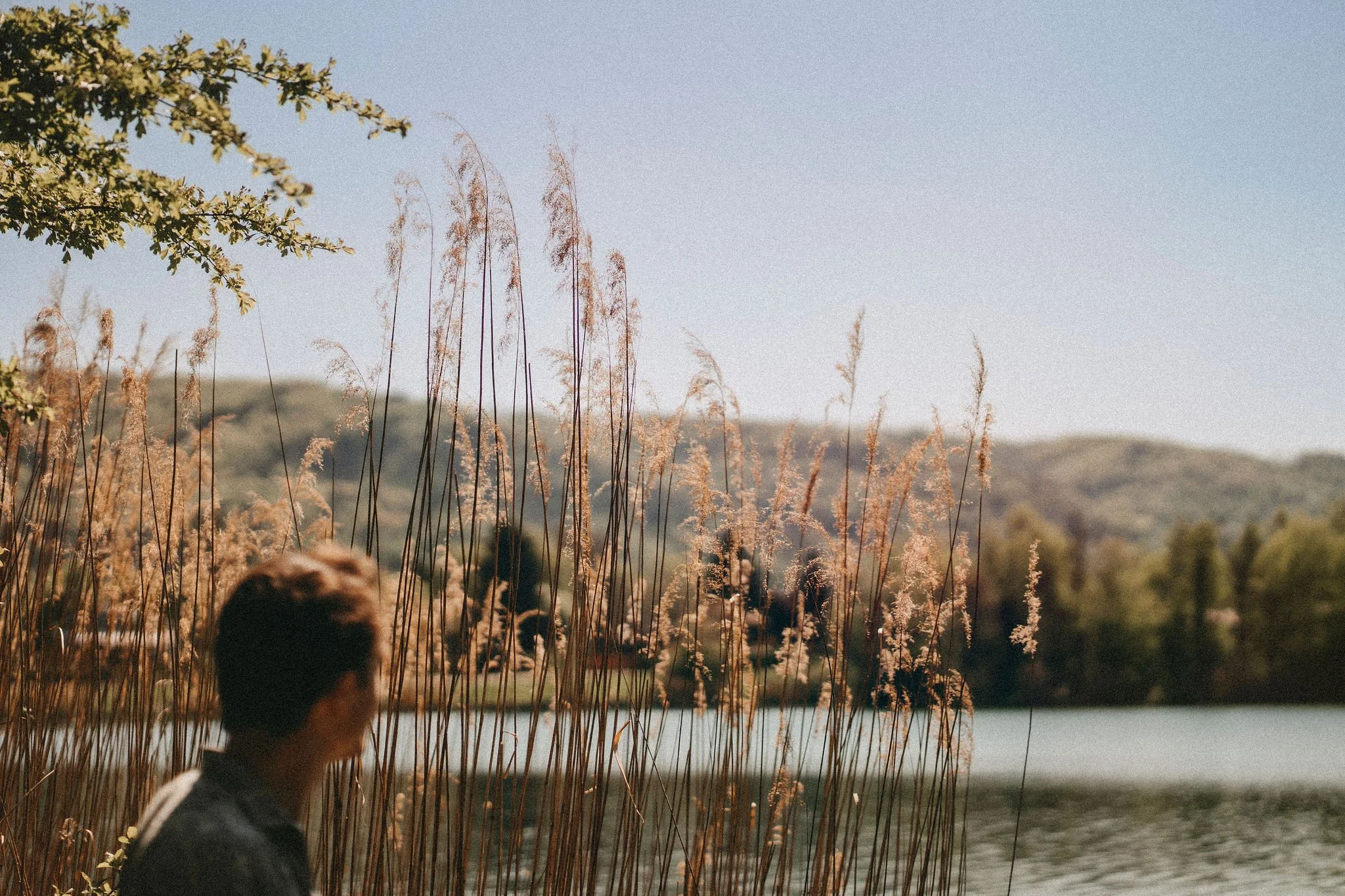 Lukas Leitinger steht vor Gräsern an einem Wasser in der Natur, mit Bergen im Hintergrund, bei sonnigem Himmel.