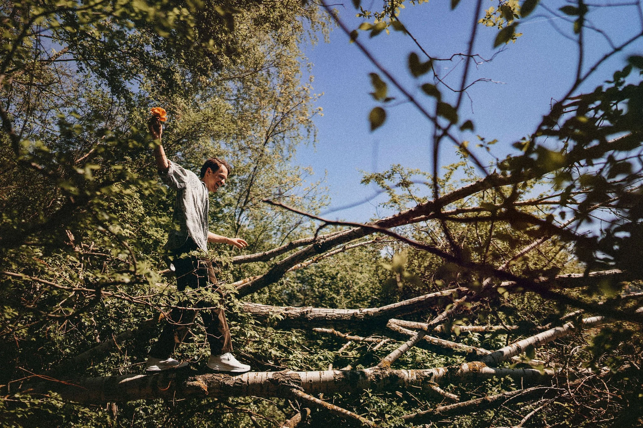 Lukas Leitinger steht auf einem umgestürzten Baum im Wald, umgeben von grünen Blättern und blauer Himmel, lächelnd und mit ausgestreckten Armen.