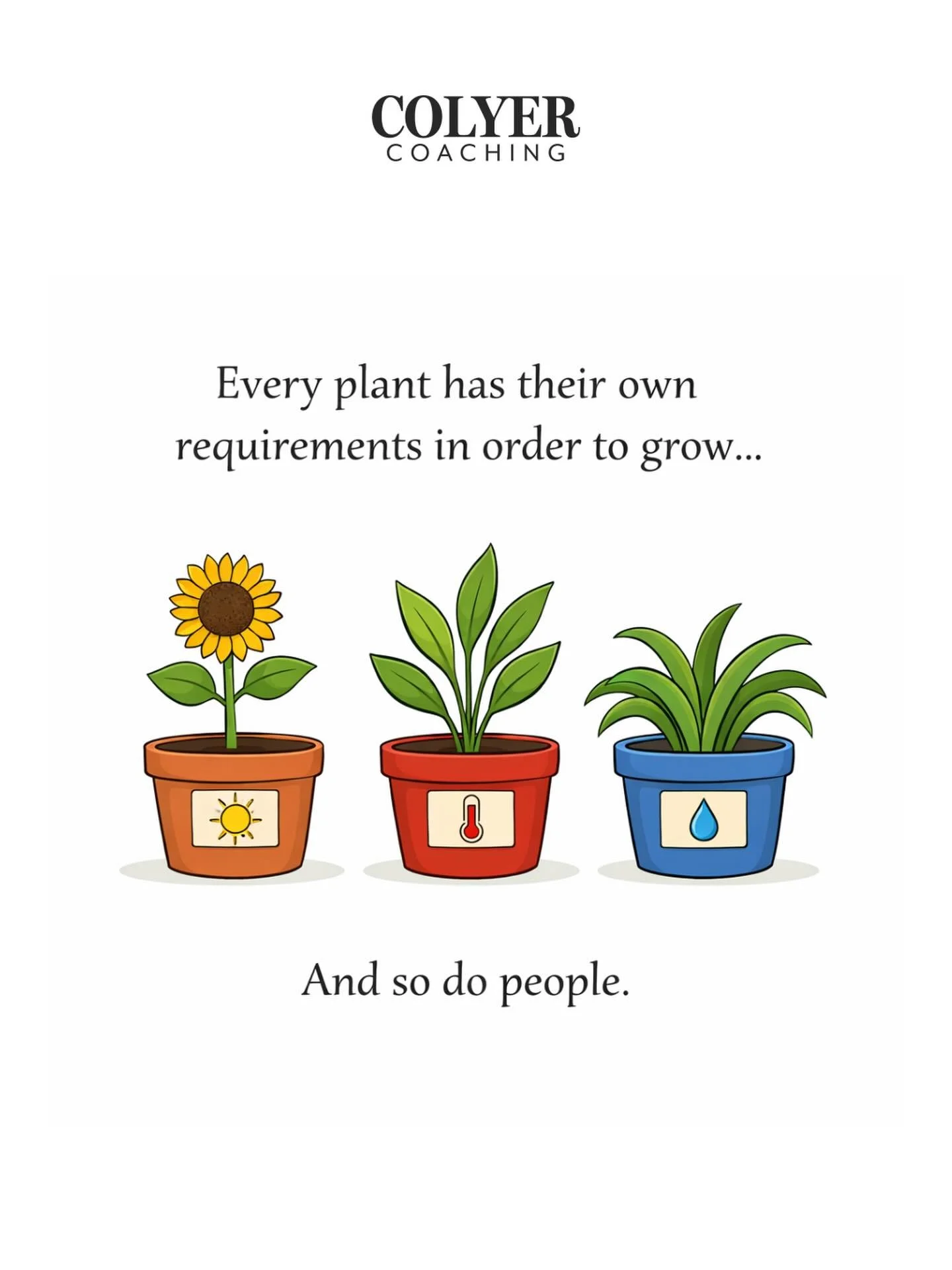 Every plant has different requirements in order to grow.

Some need more sunlight.
Some need the right temperature.
Some need more water, more attention, or simply the right environment.

People aren&rsquo;t so different.

And yet, in workplaces, it&