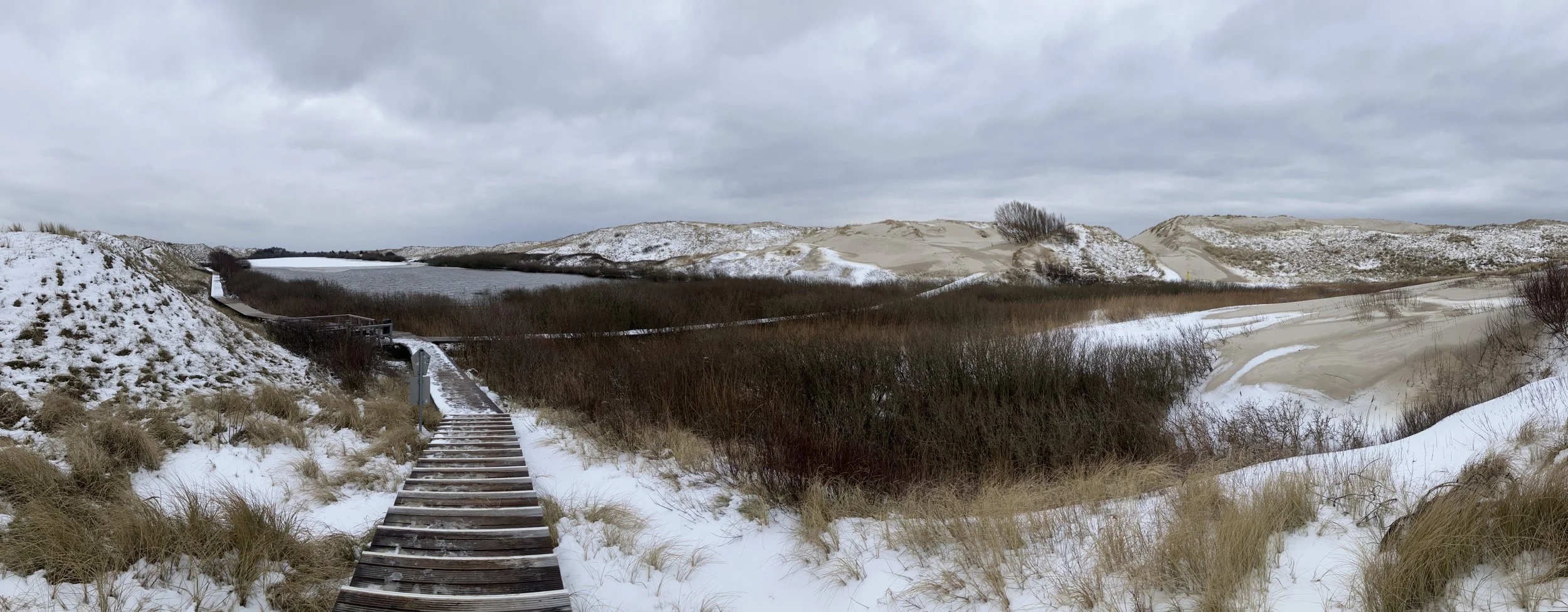 2026-01-28 13.32.28.jpg