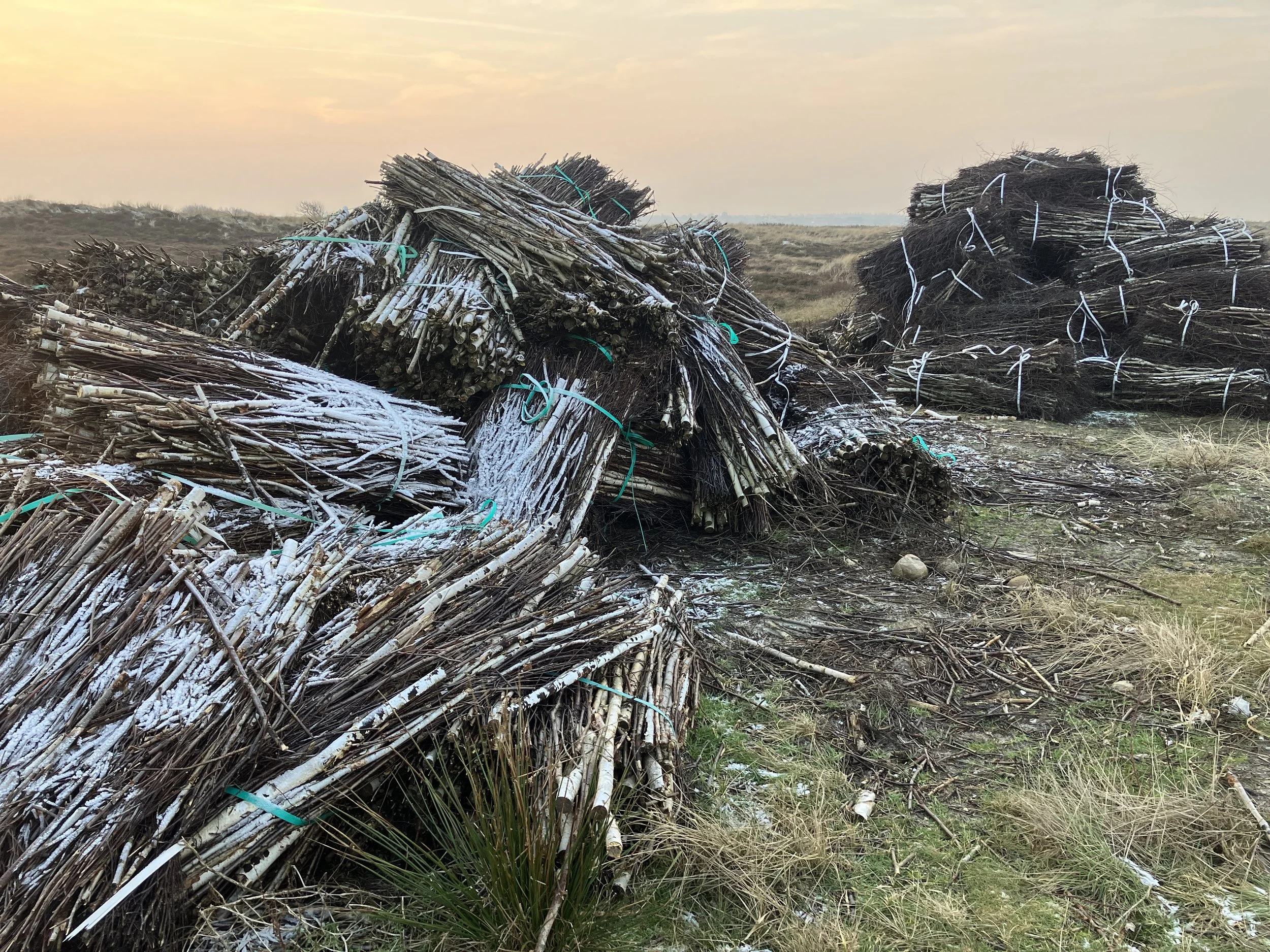 2026-01-23 09.14.46.jpg