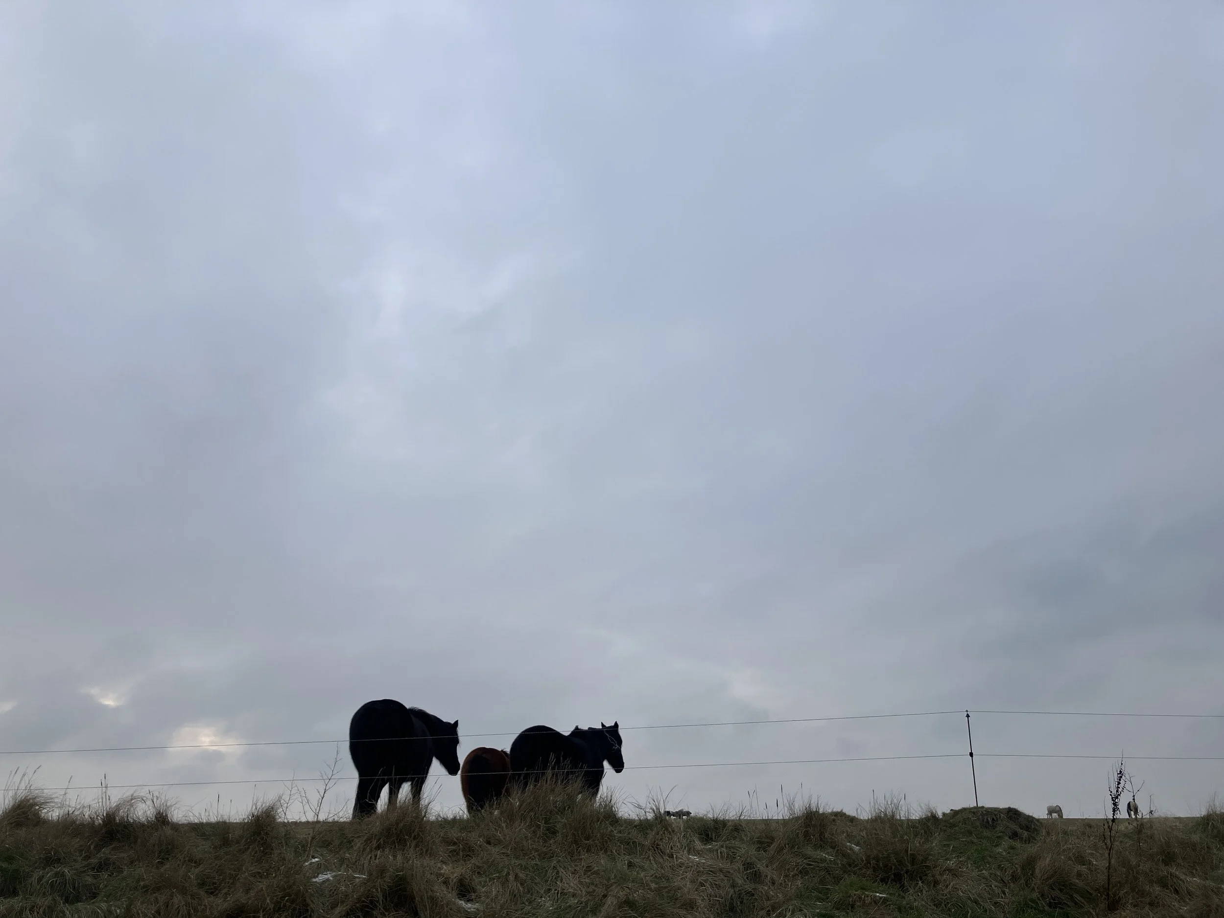 2026-01-24 15.09.44.jpg