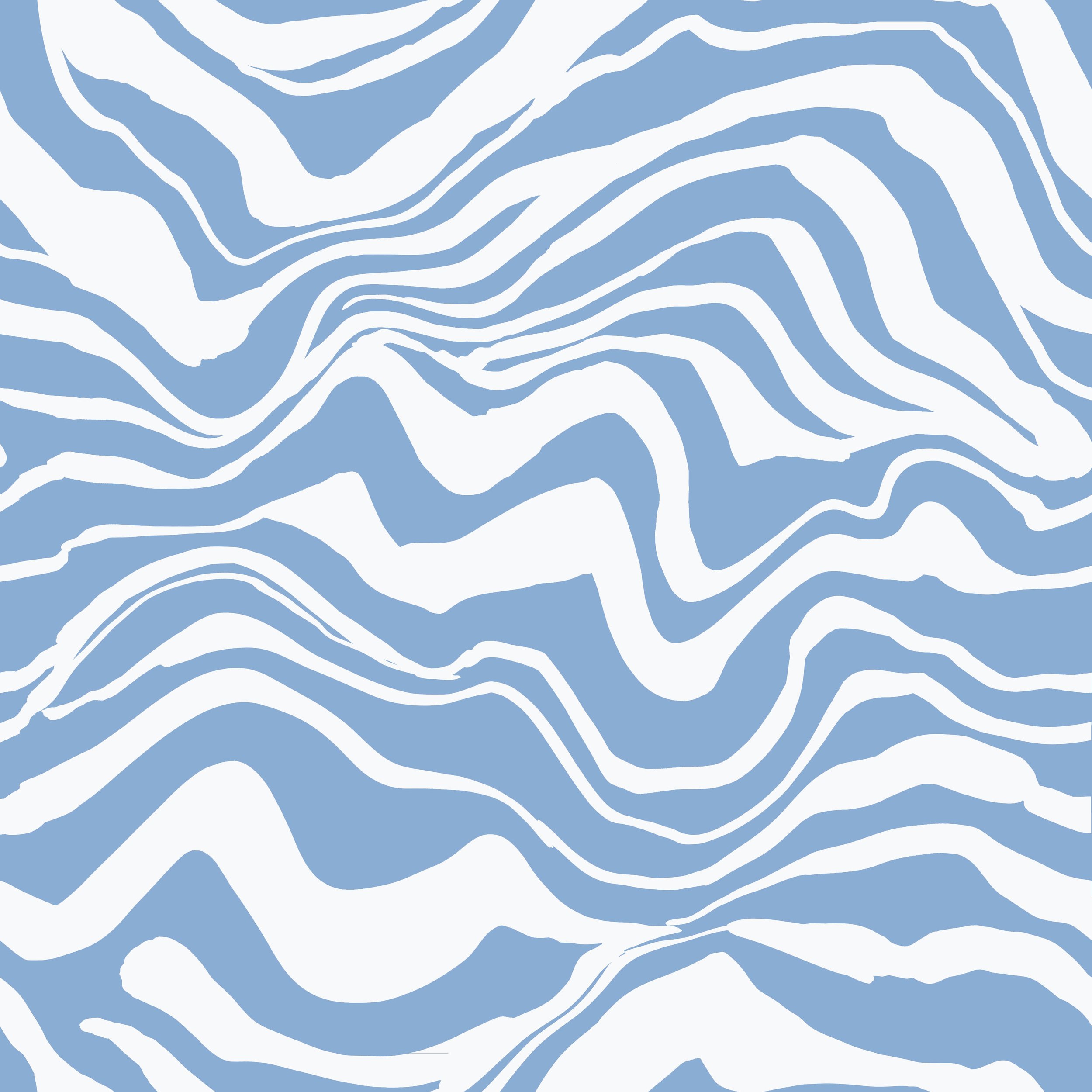 JN 8826 WAVE ZEBRA CLWY5 copy.jpg