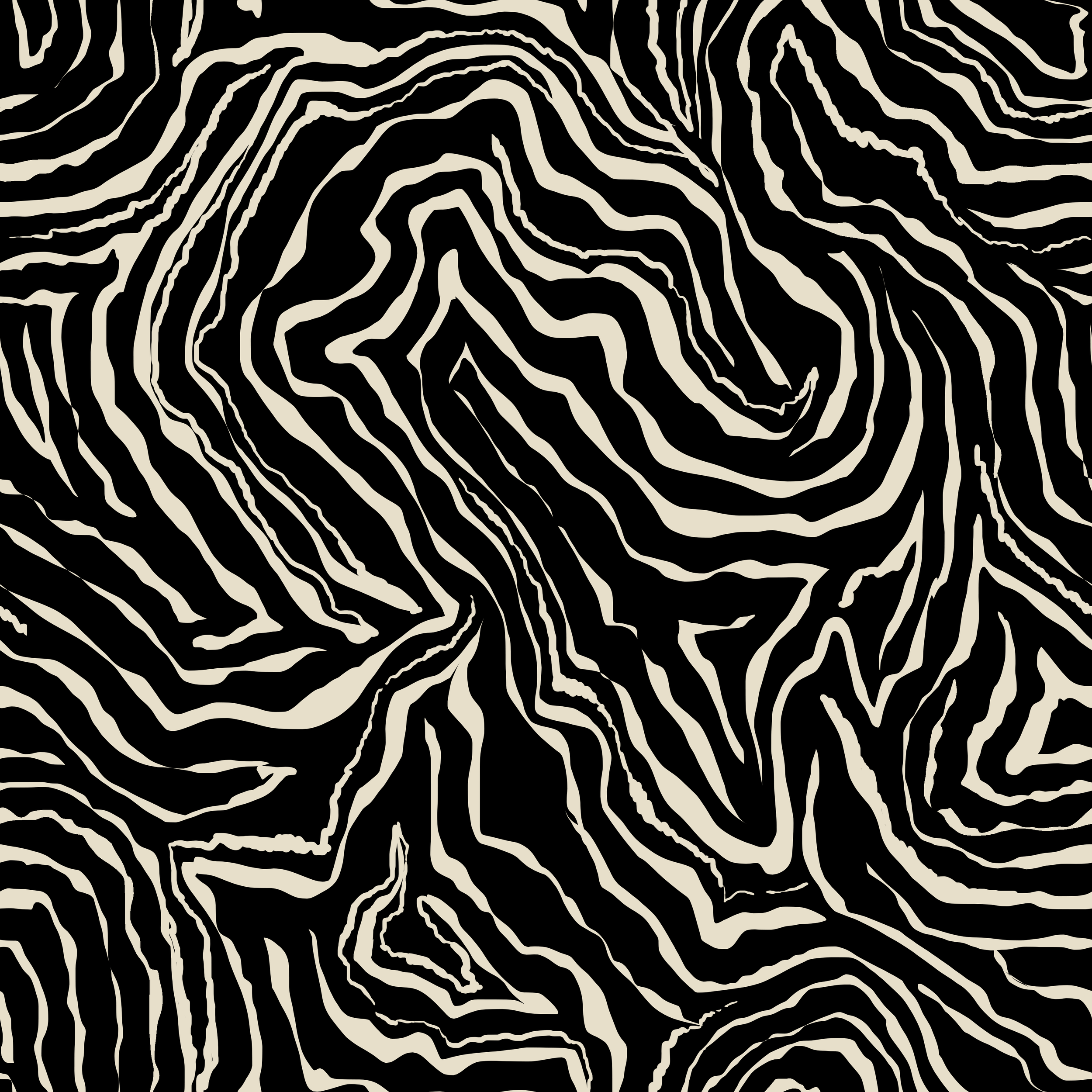 JN 9928 ZEBRA GEOLOGICAL PATTERN copy.png