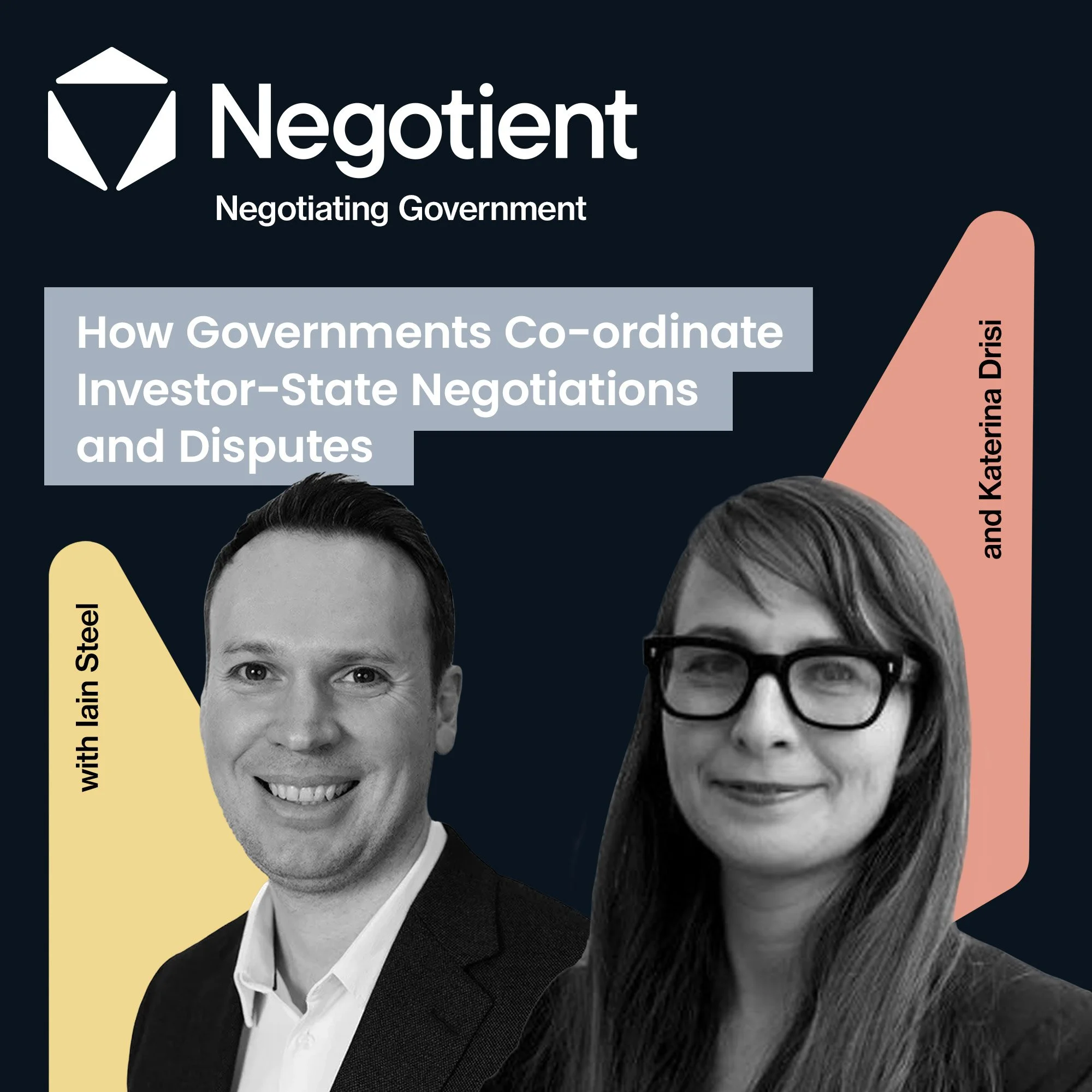 How Governments Co-ordinate Investor-State Negotiations and Disputes