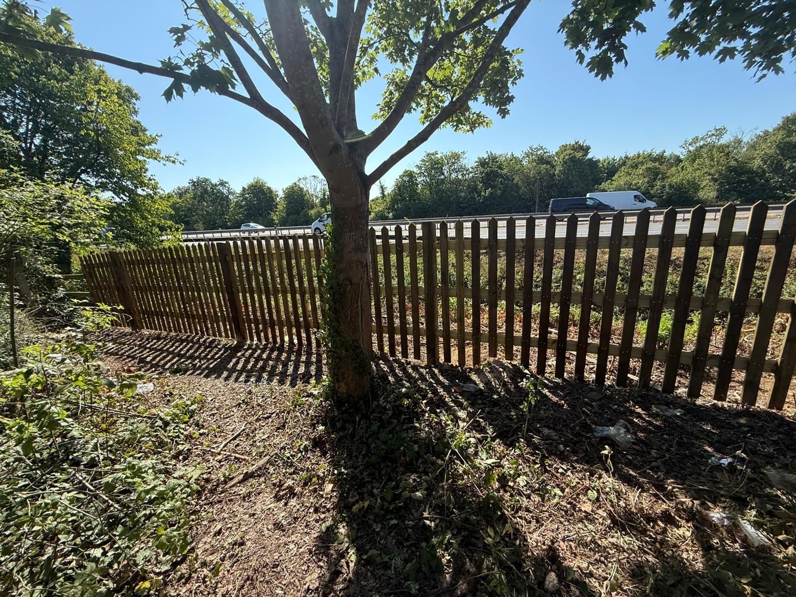 Just over 200m of timber palisade alongside the M3