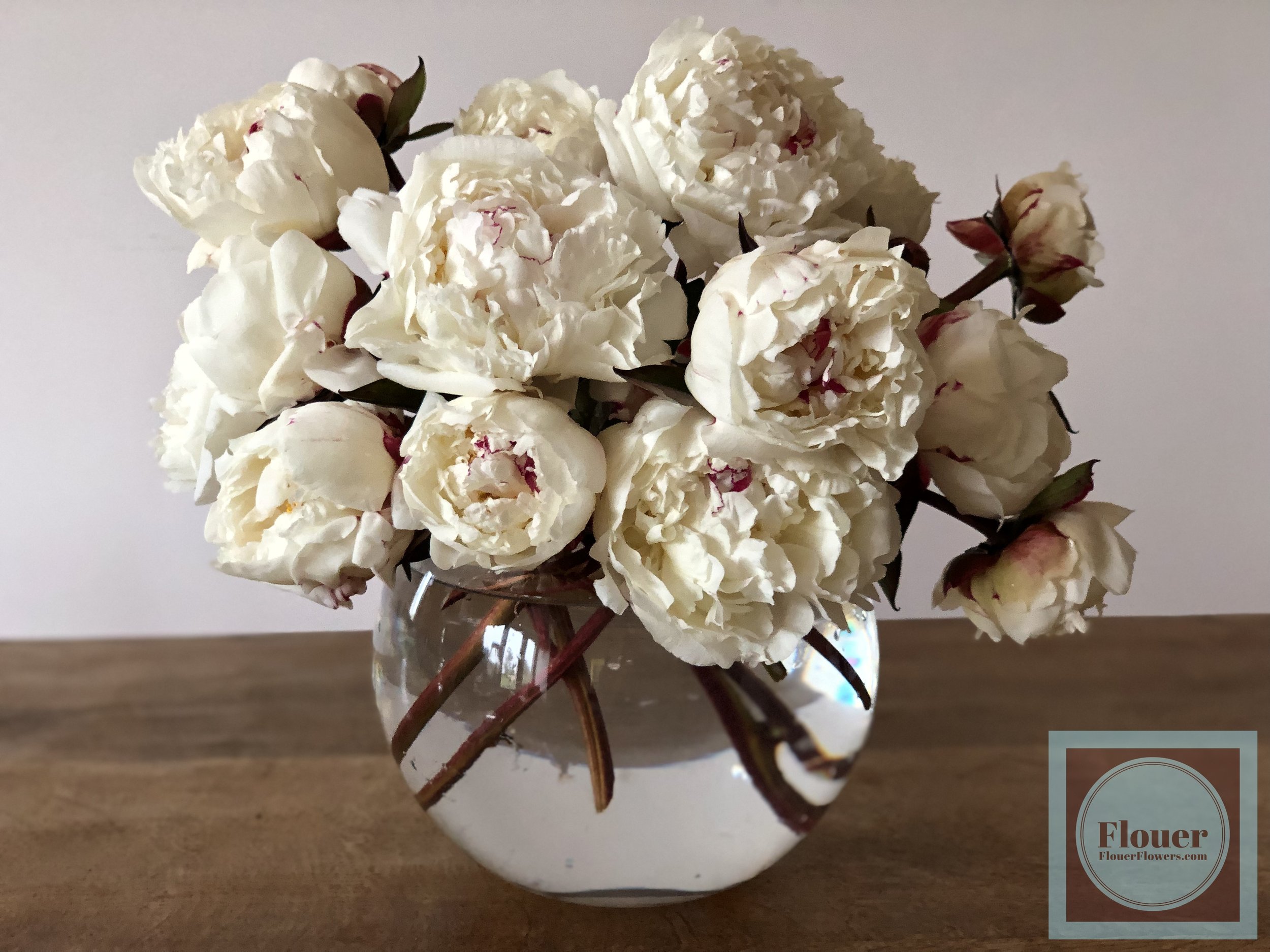 Boule De Neige Flouer (watermarked).jpg