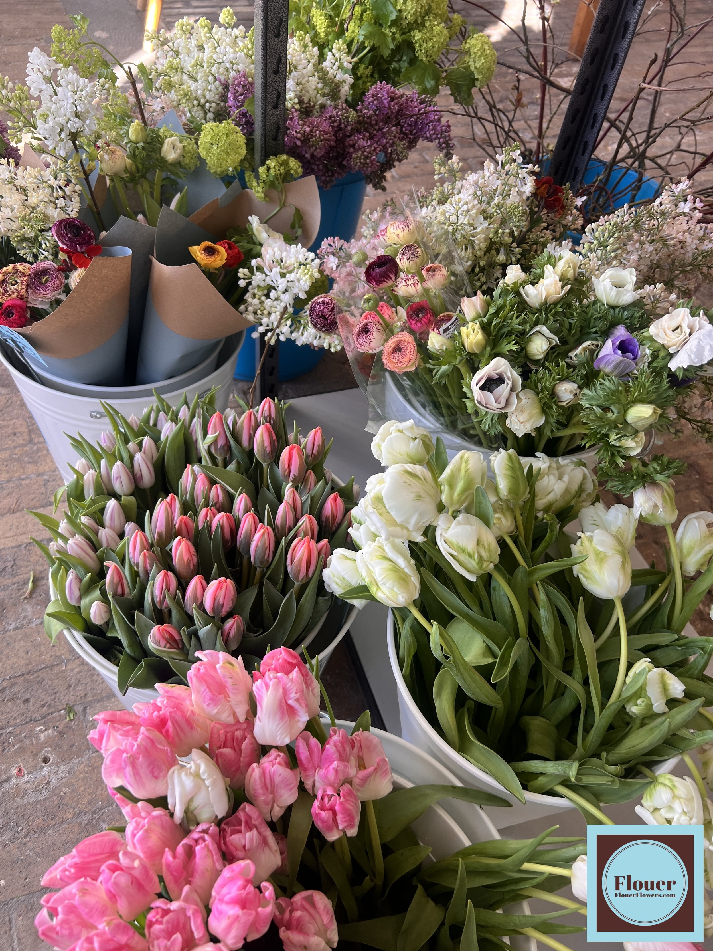 IMG_8420 (watermarked) (1) (1).jpg (Copy) (Copy)