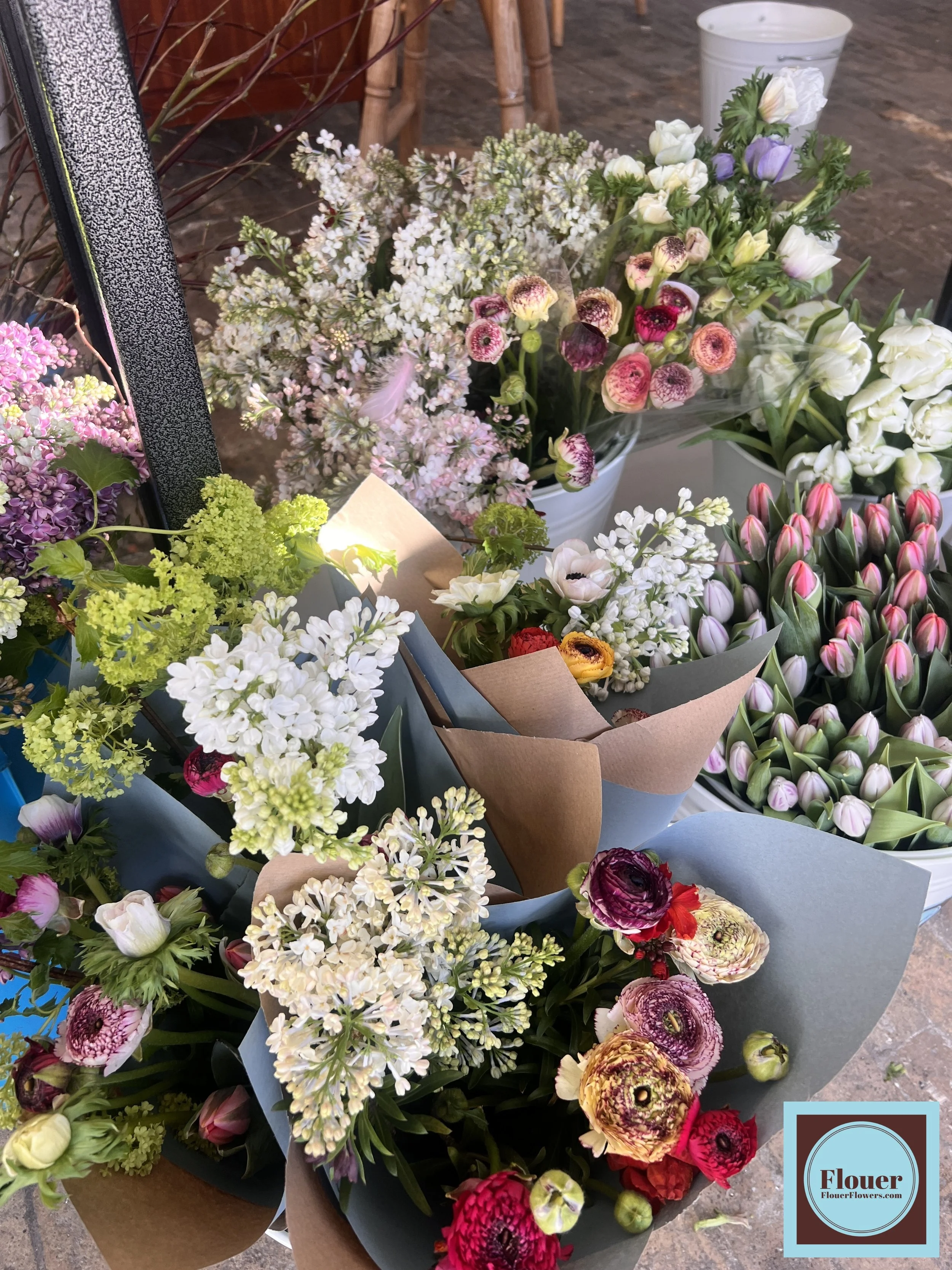 IMG_8412 (watermarked) (1) (1).jpg (Copy) (Copy)