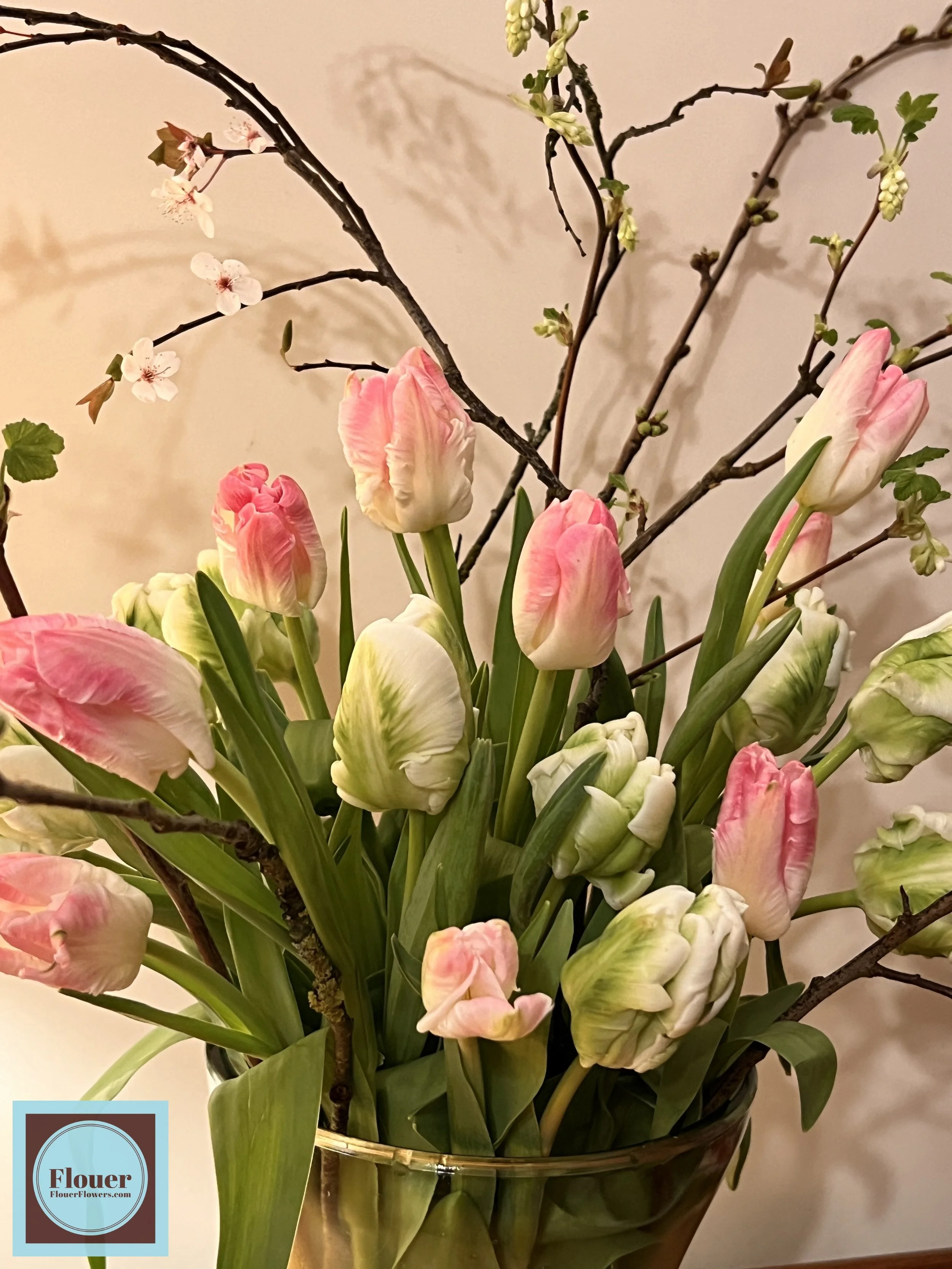 IMG_8120 (watermarked) (1).jpg