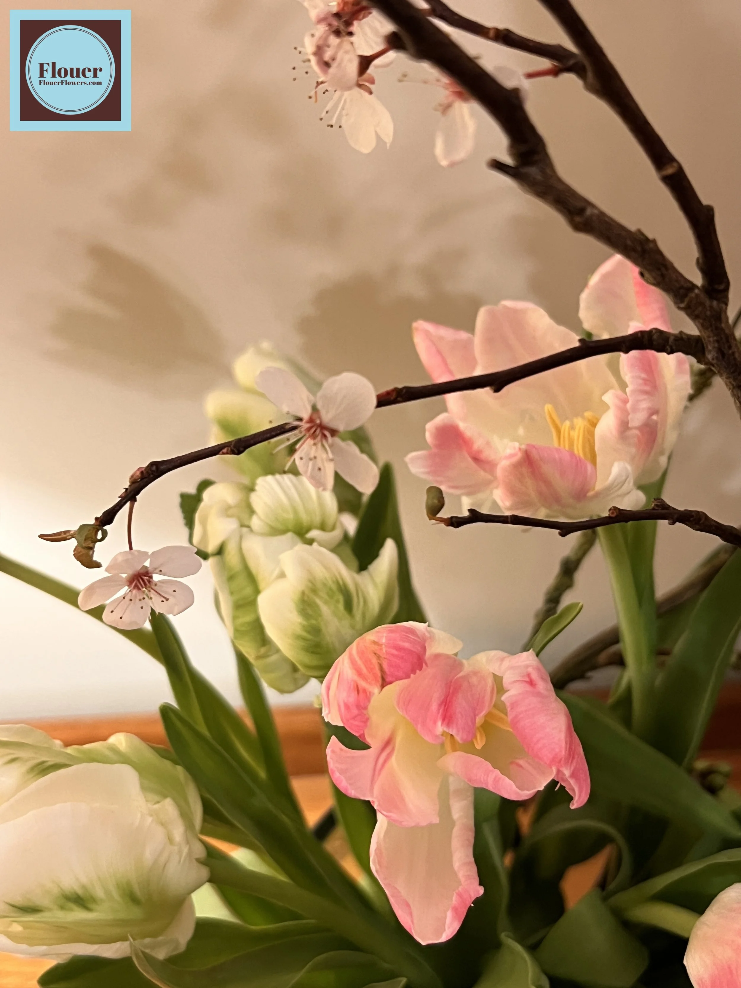 IMG_8159 (watermarked) (1).jpg