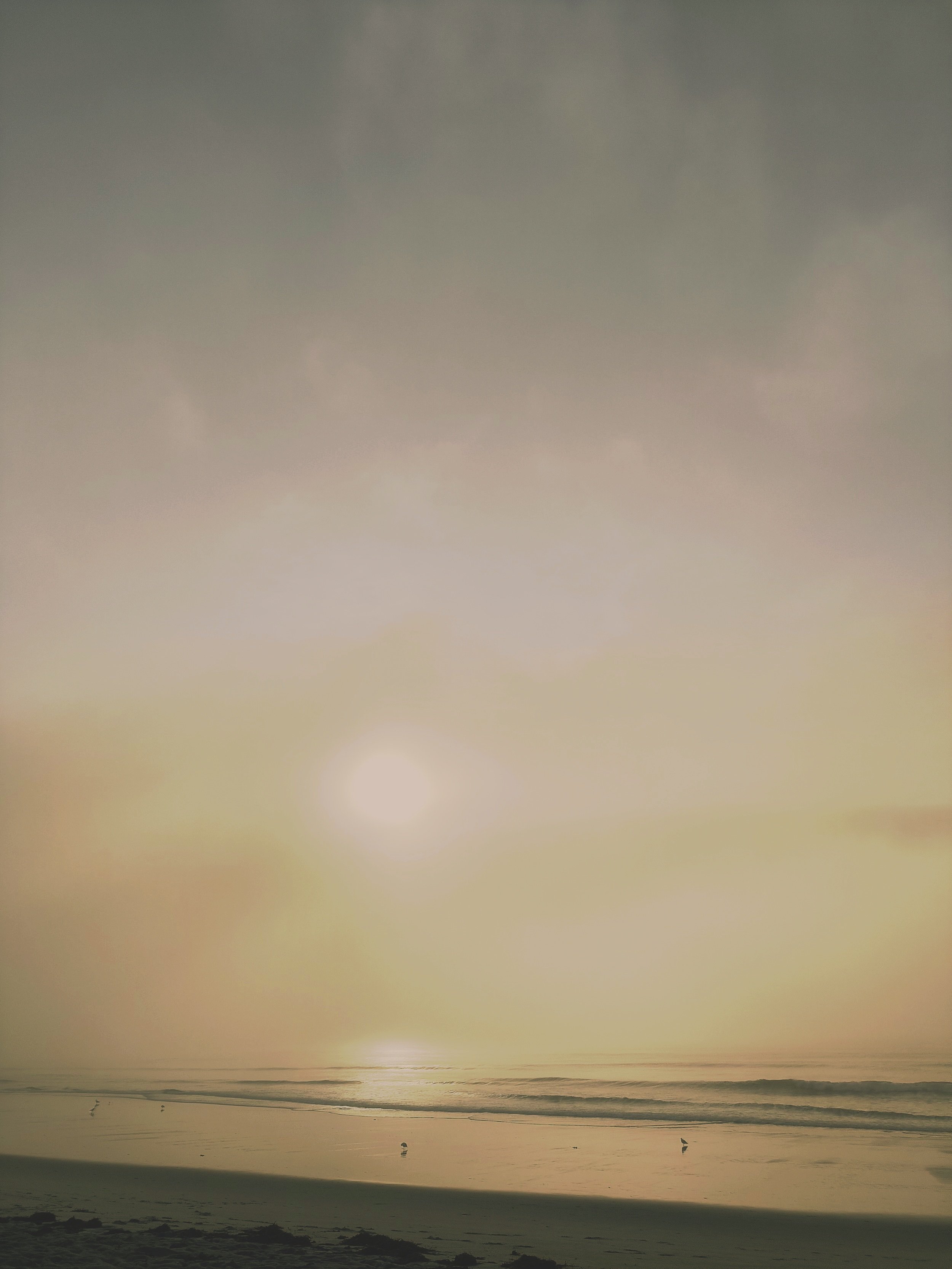 IMG20230722064714.jpg