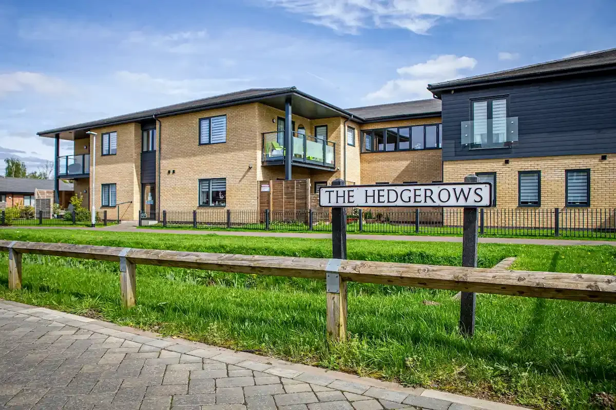 The Hedgerows.webp