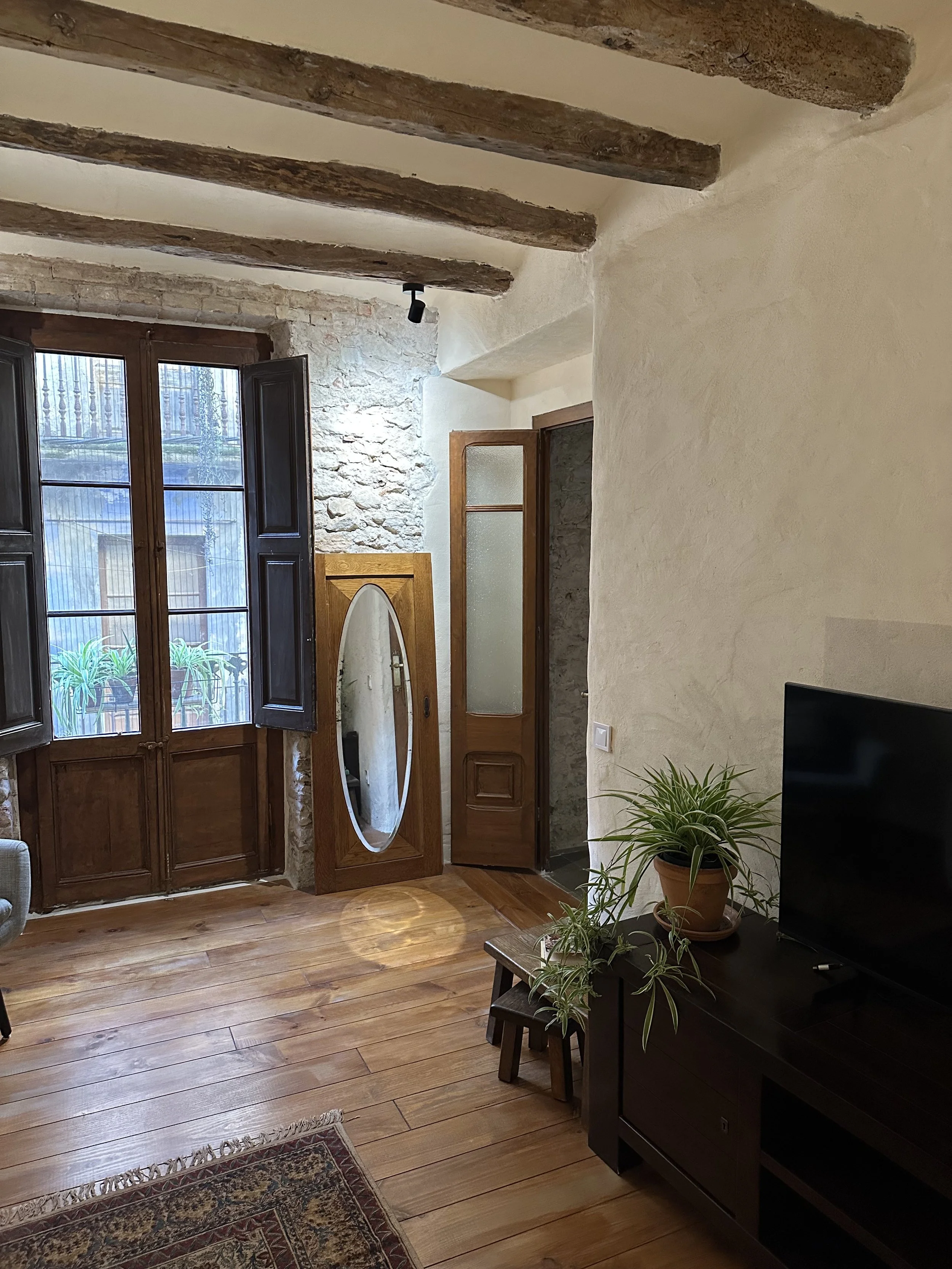 Cozy living room with wooden beams and floor, large window, oval mirror, TV on a dark cabinet, and indoor plants.
