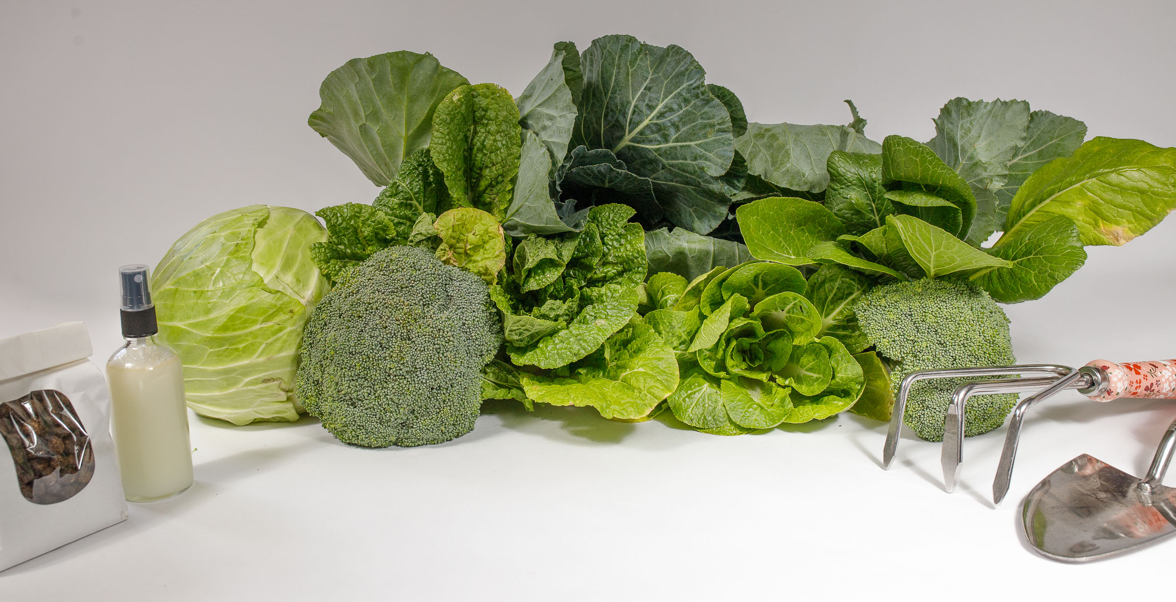 It’s Time to Get Busy: Prepare for a Warm Growing Season!
