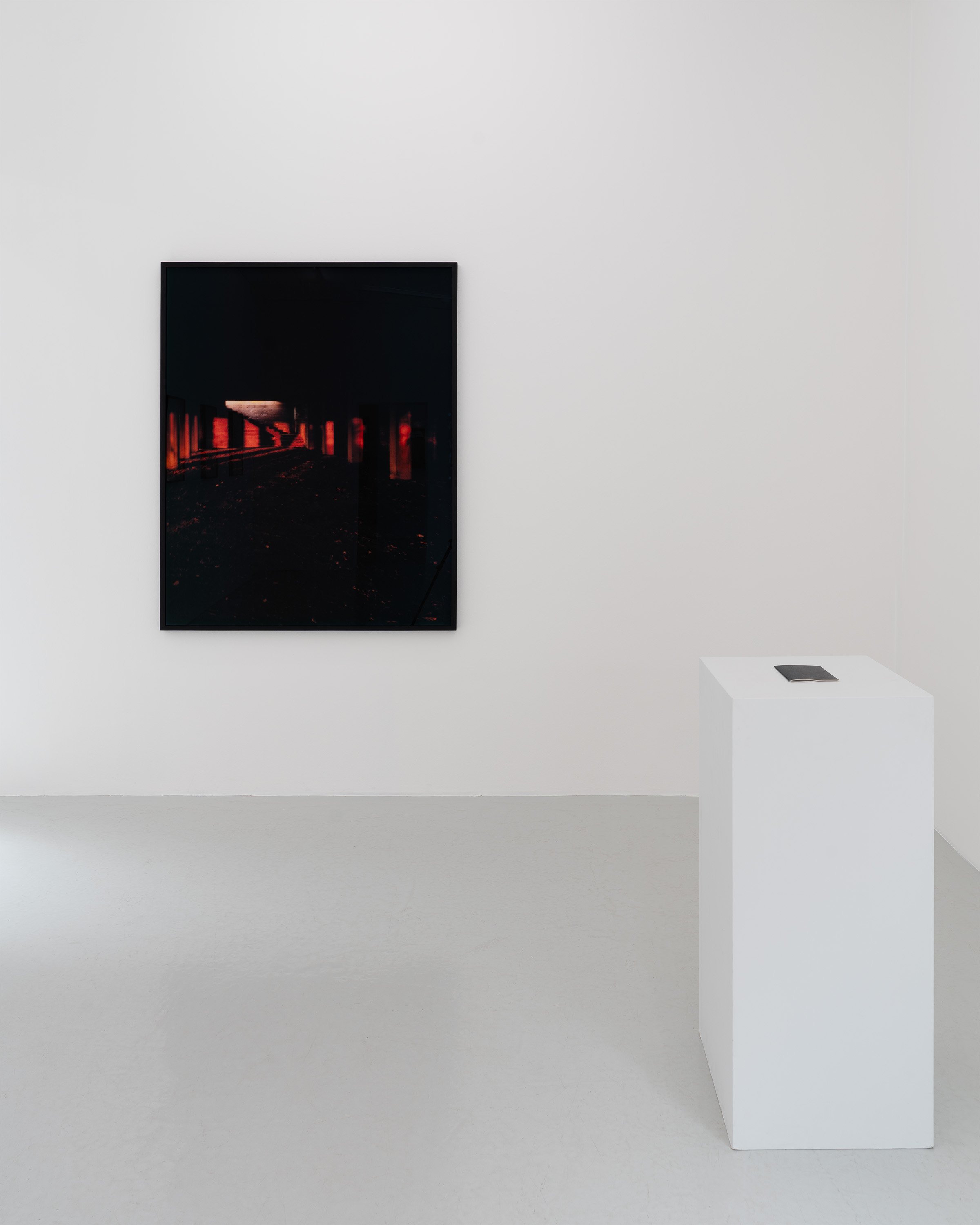 SP_Opaque_13.jpg