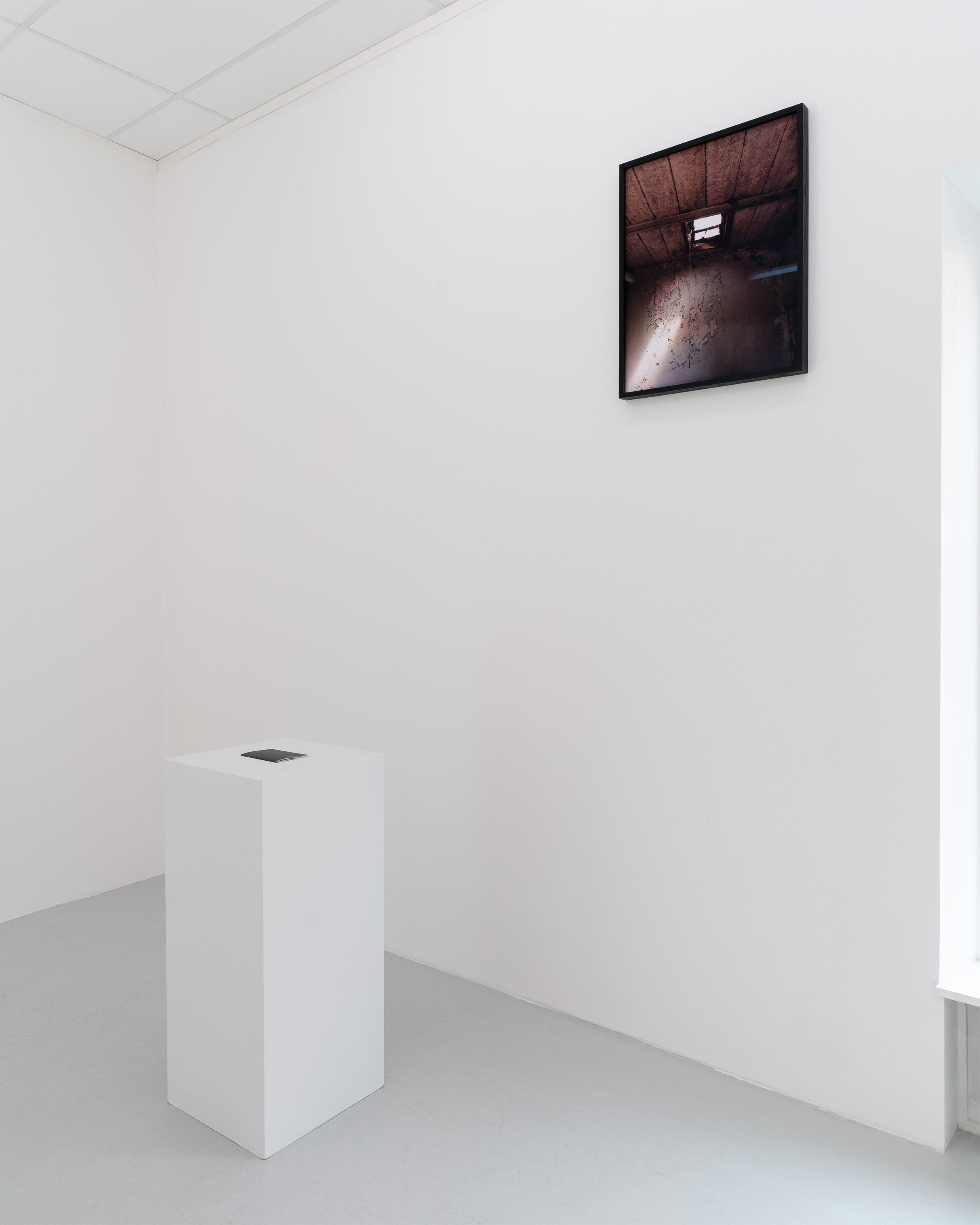 SP_Opaque_10.jpg