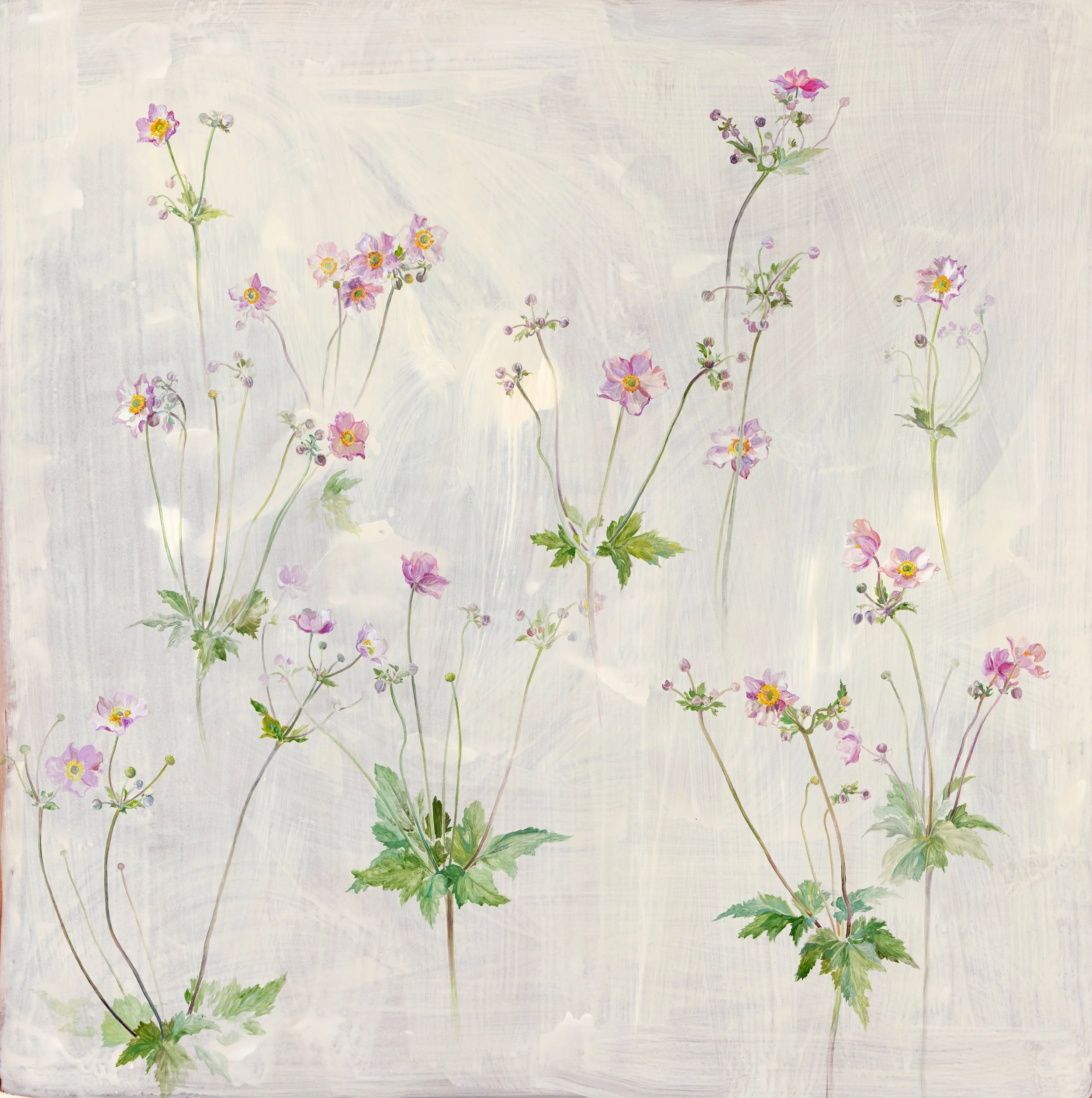 windflowers.jpg