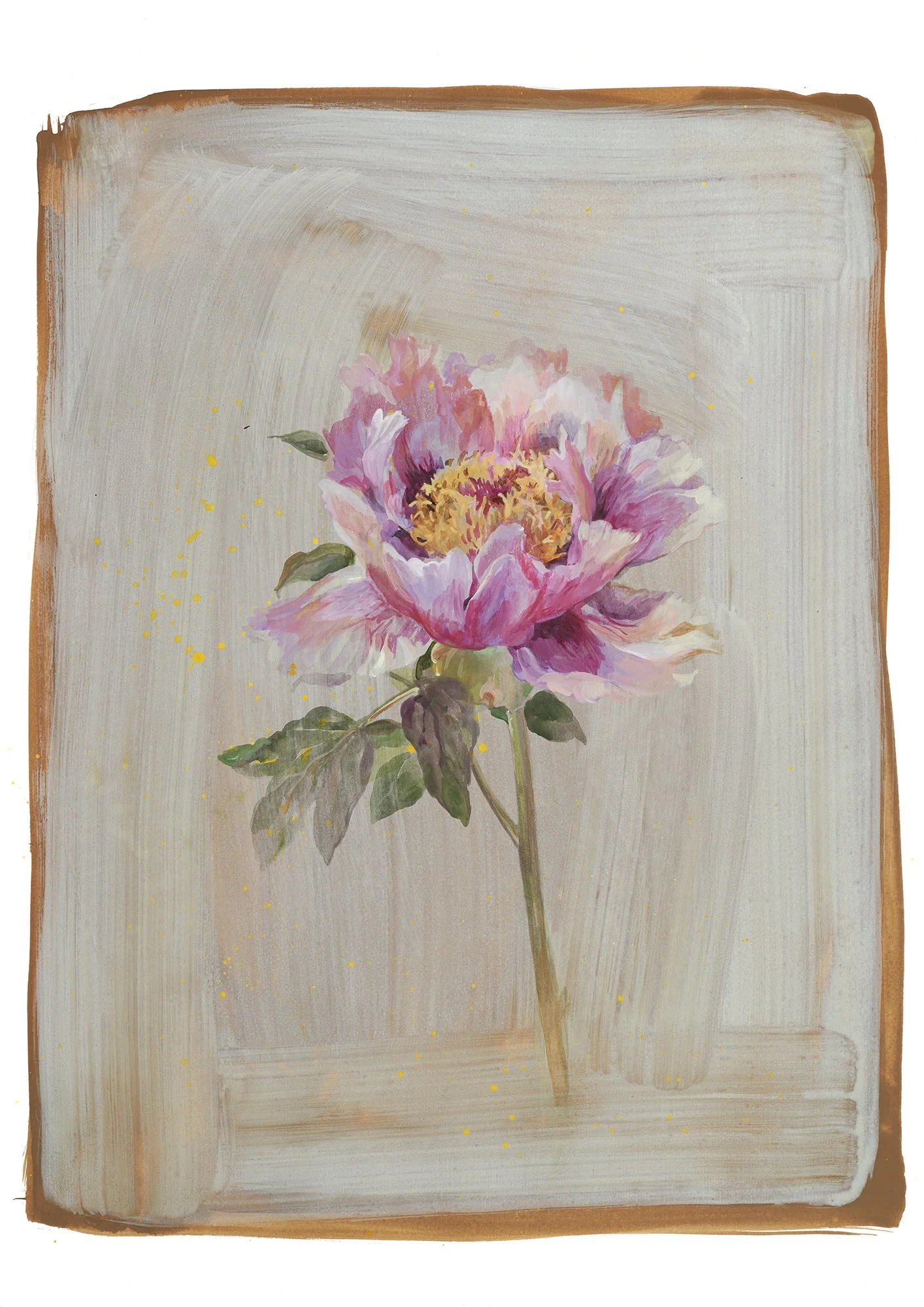 Tree Peony