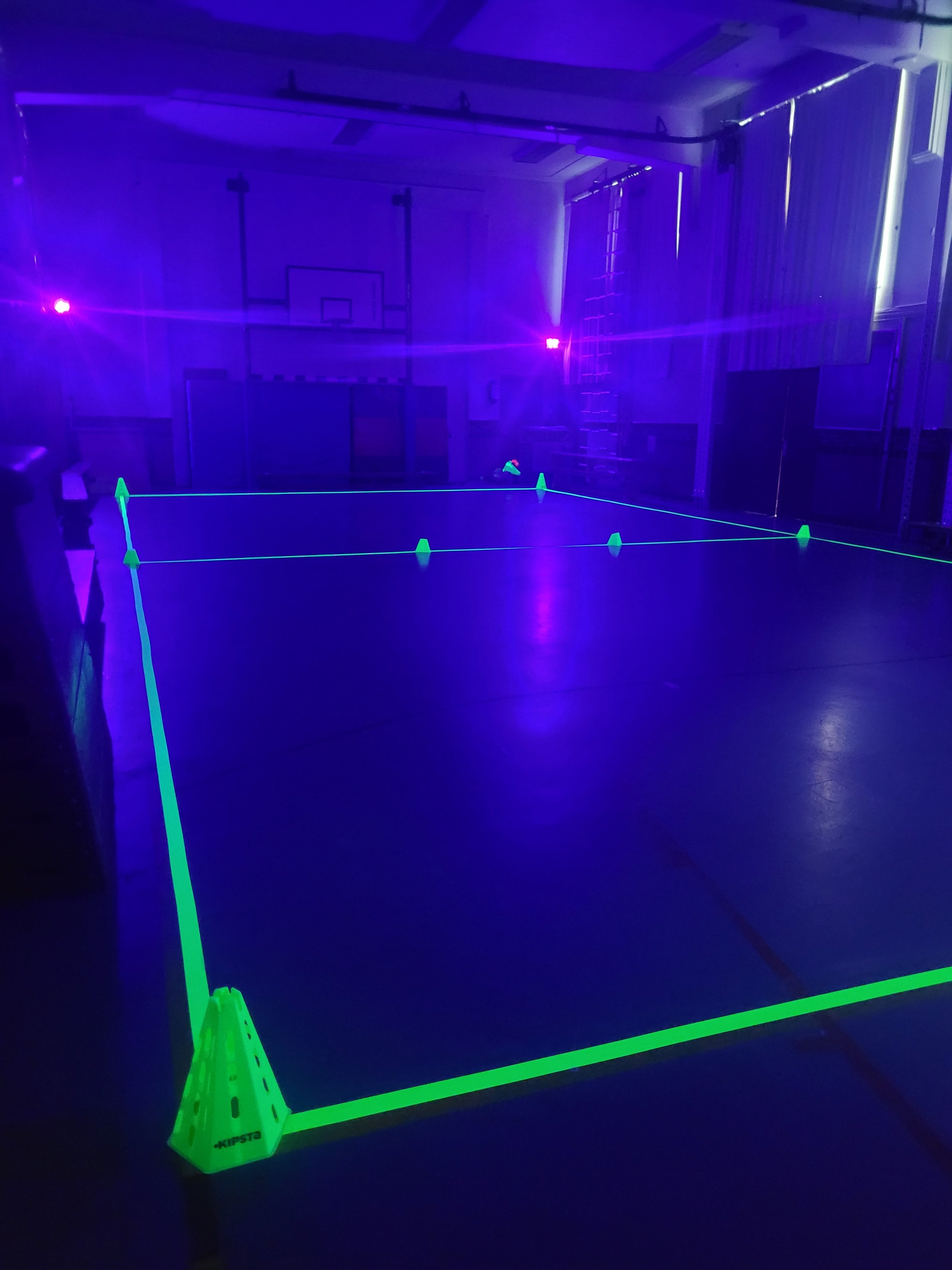 Dodgeball fluo.jpg