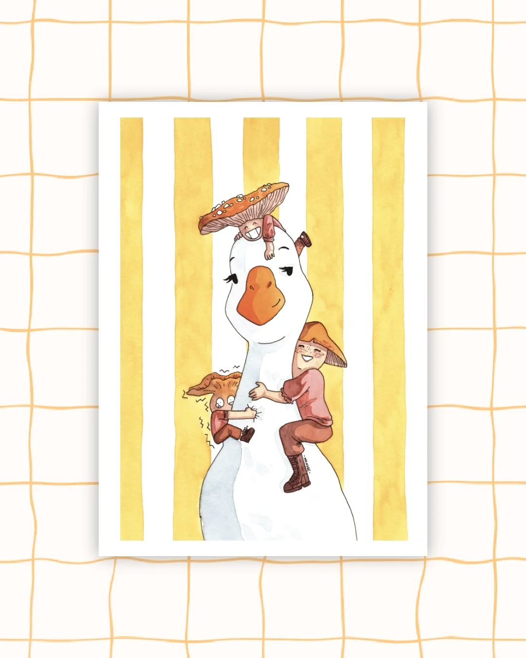 Nouvelle collection_5.webp