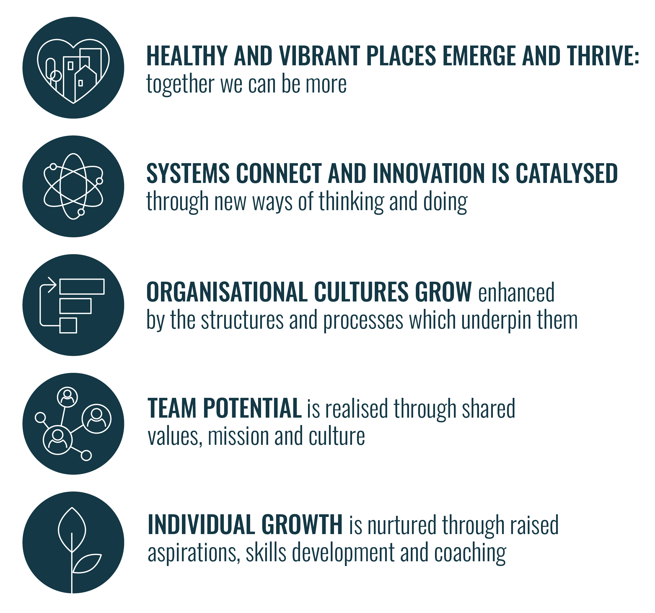 About Us — 360 Degree Society