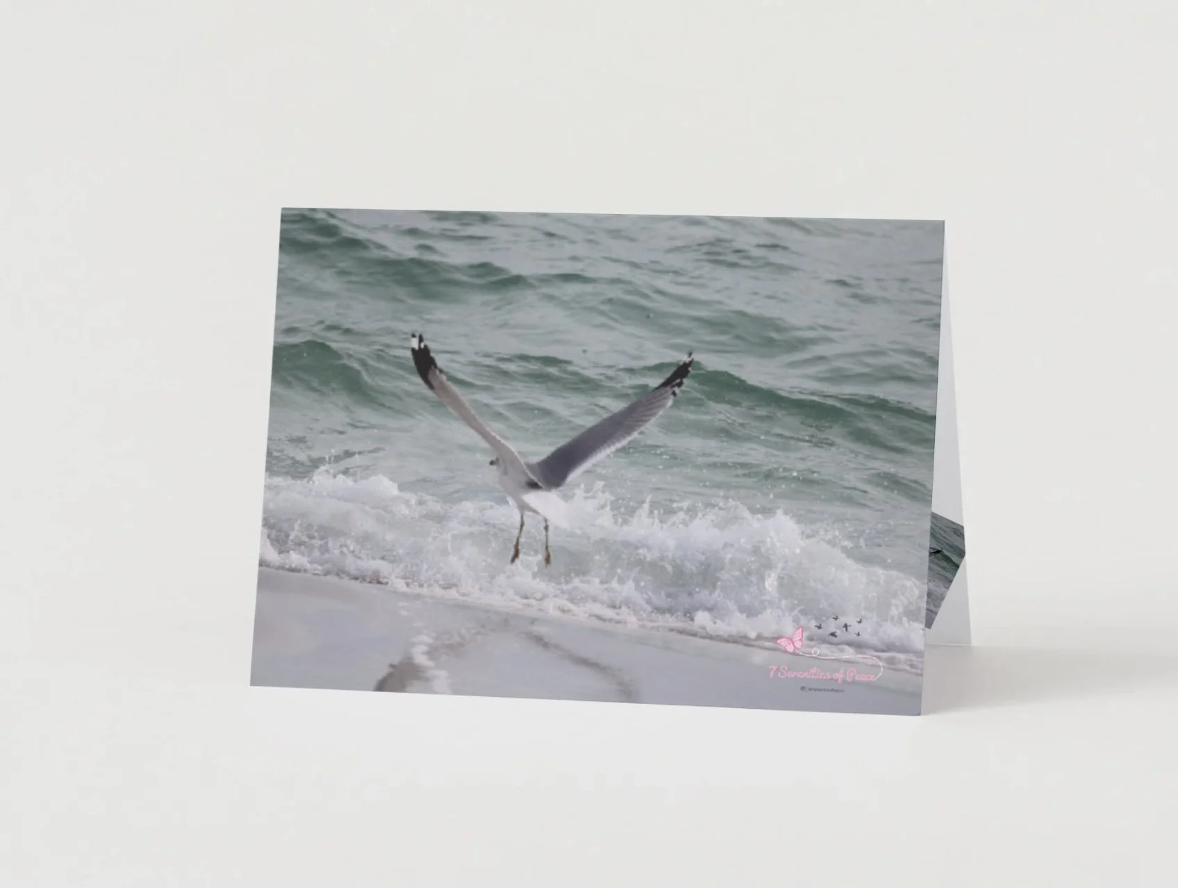 GC - Birds In Flight - 1.jpg