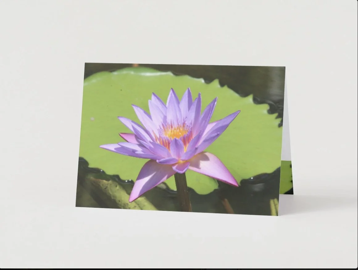 GC - Water Lily.Lotus Flower - 4.jpg