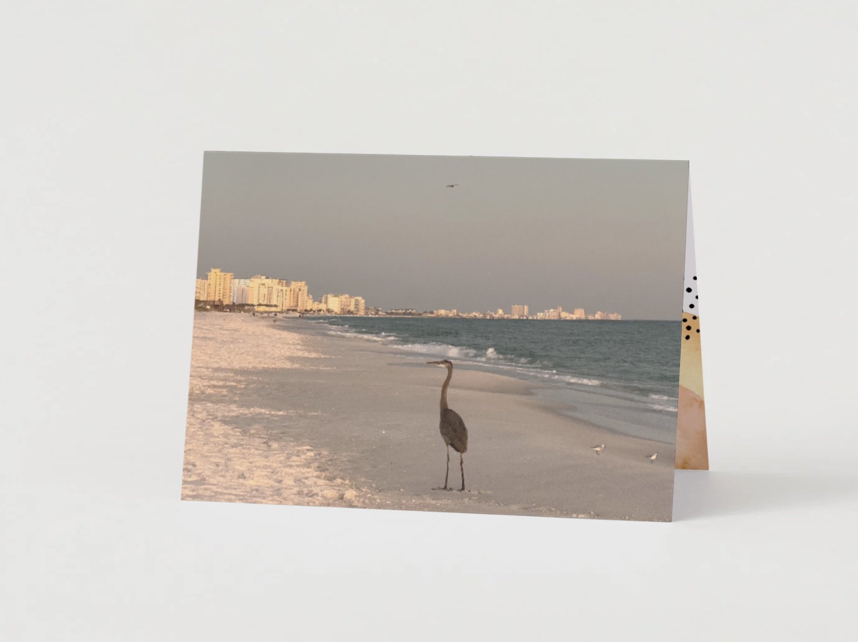 GC - Watchful Heron - 1.jpg