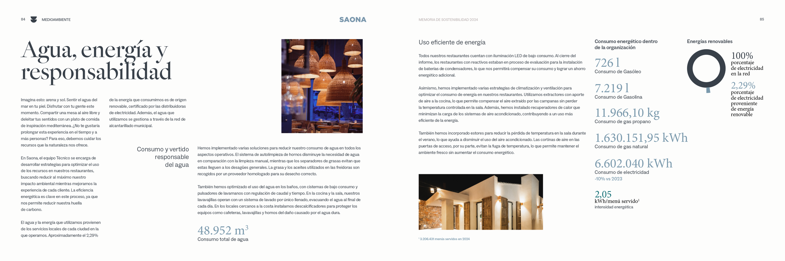saona_0000_SAONA_2024.png