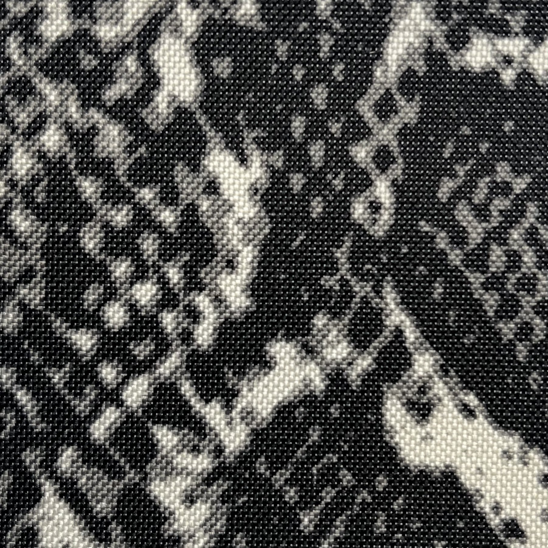 snake skin.jpeg