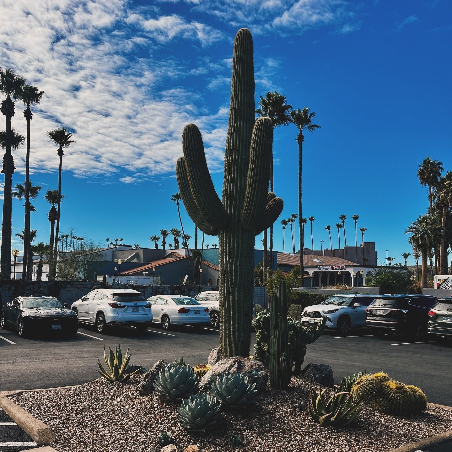 Gems, Minerals, Cactus, Music&hellip; #tuscongemshow was a real experience. Supporting friends and playing bigger stages is how I hope 2024 will #manifest itself. Here&rsquo;s to starting off on the right foot! 🥂
.
.
#juliakingmusic #tuscon #arizona