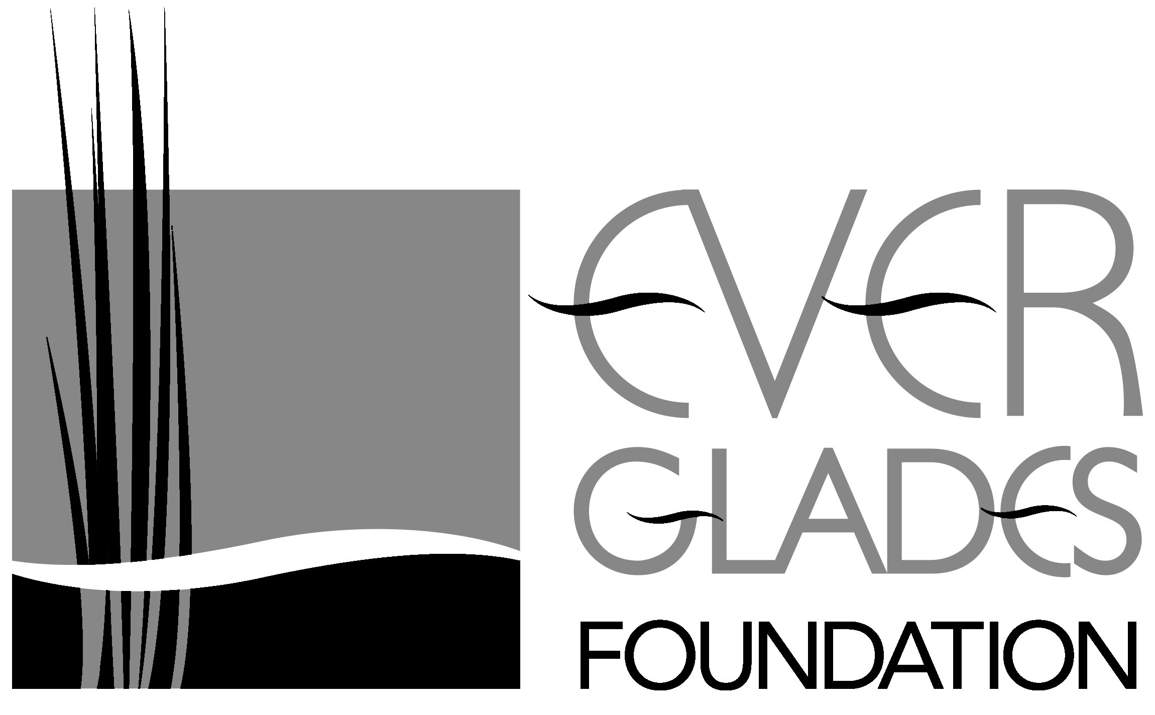 everglades foundation.jpg