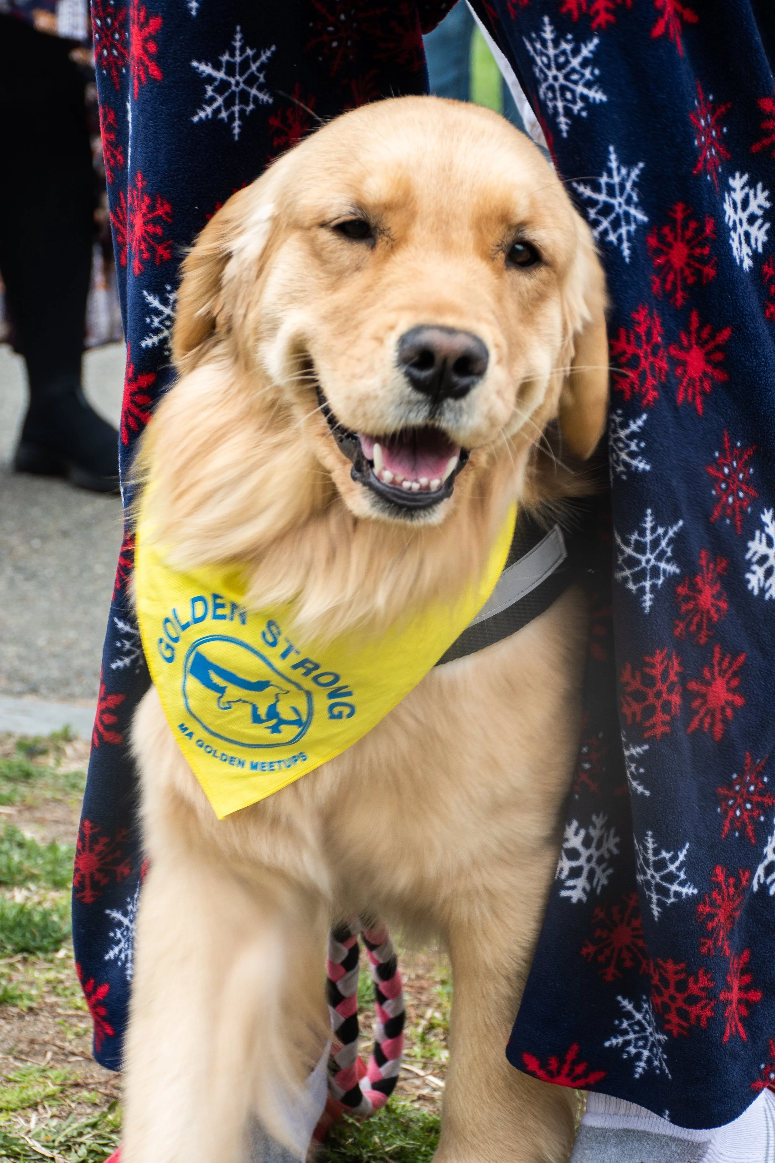 CP_GOLDENS-25.jpg