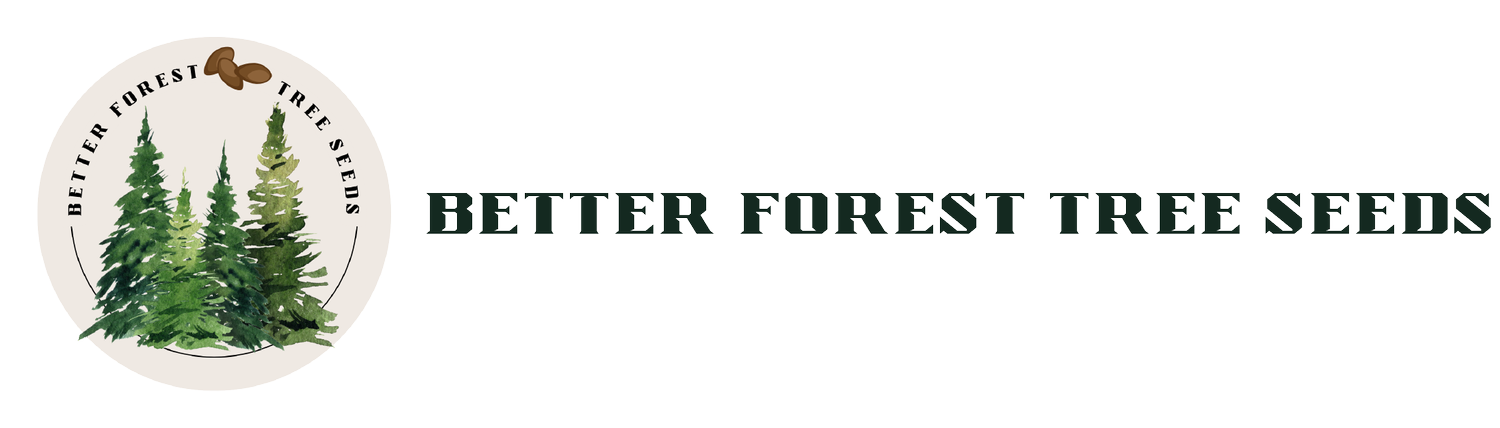 Better Forest Tree Seeds