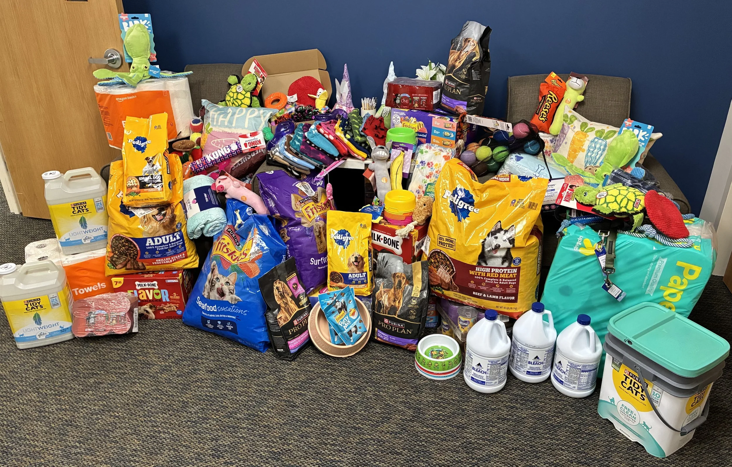 Moonjumpers help support The Little Shelter Animal Rescue and Adoption Center