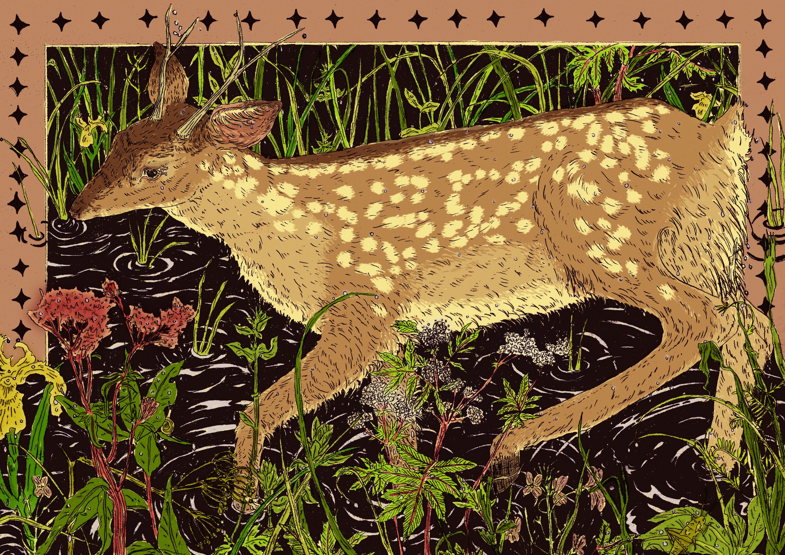 damp deer.jpg