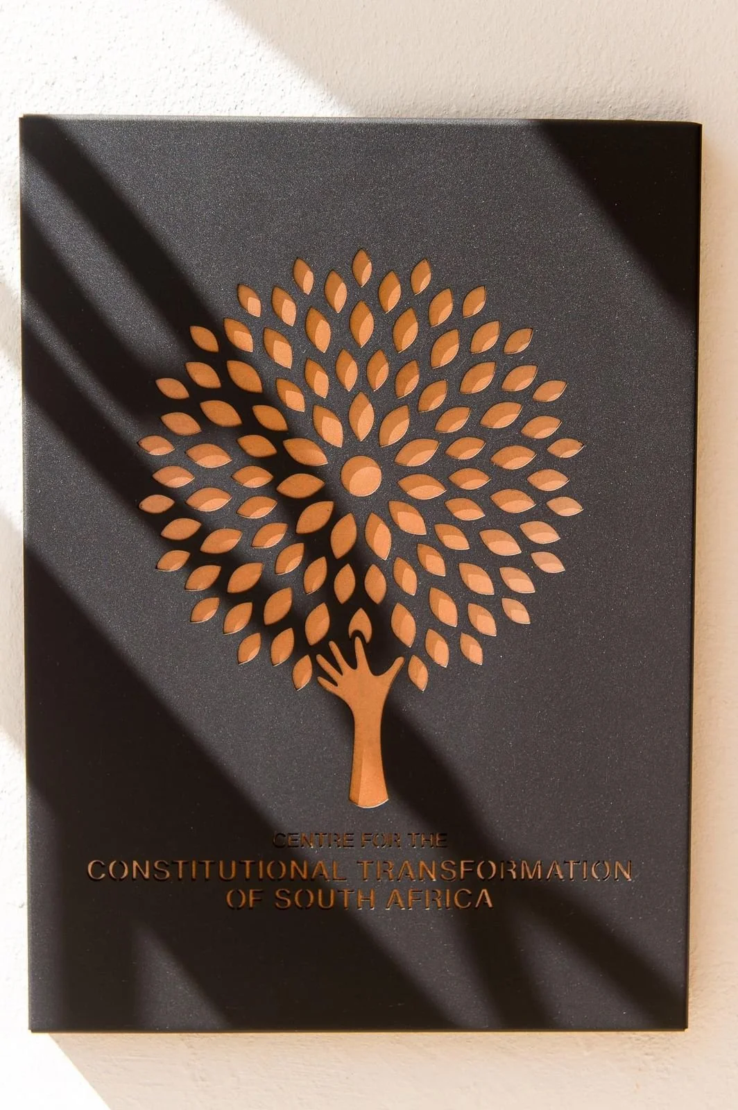 WhatsApp Image 2025-10-29 at 15.44.42_f3096c23.jpg