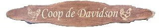 DAVIDSON.jpg