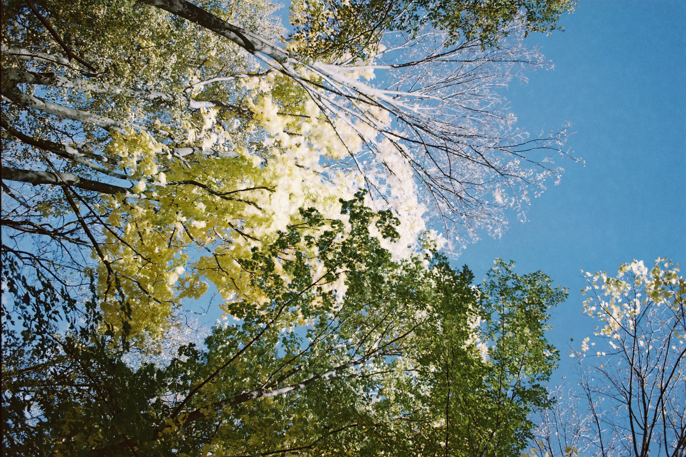 Podzimní Polské pohraničí