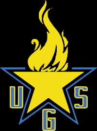 YELLOW STAR_OUTLINE_YELLOW.png