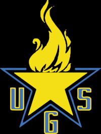 YELLOW STAR_OUTLINE_YELLOW.png