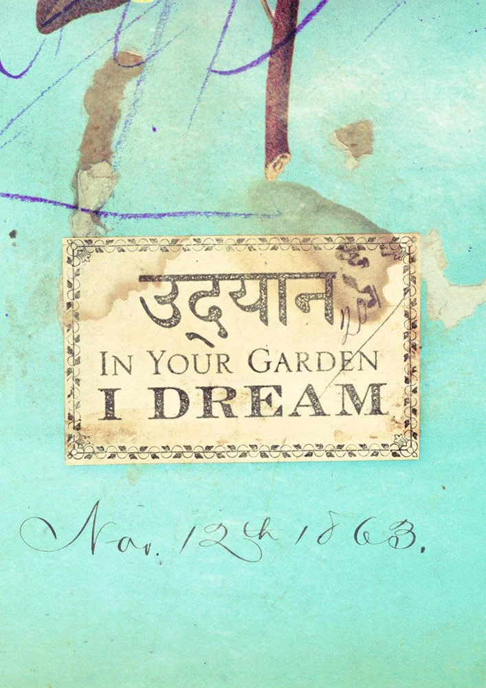 InYourGarden2.jpg