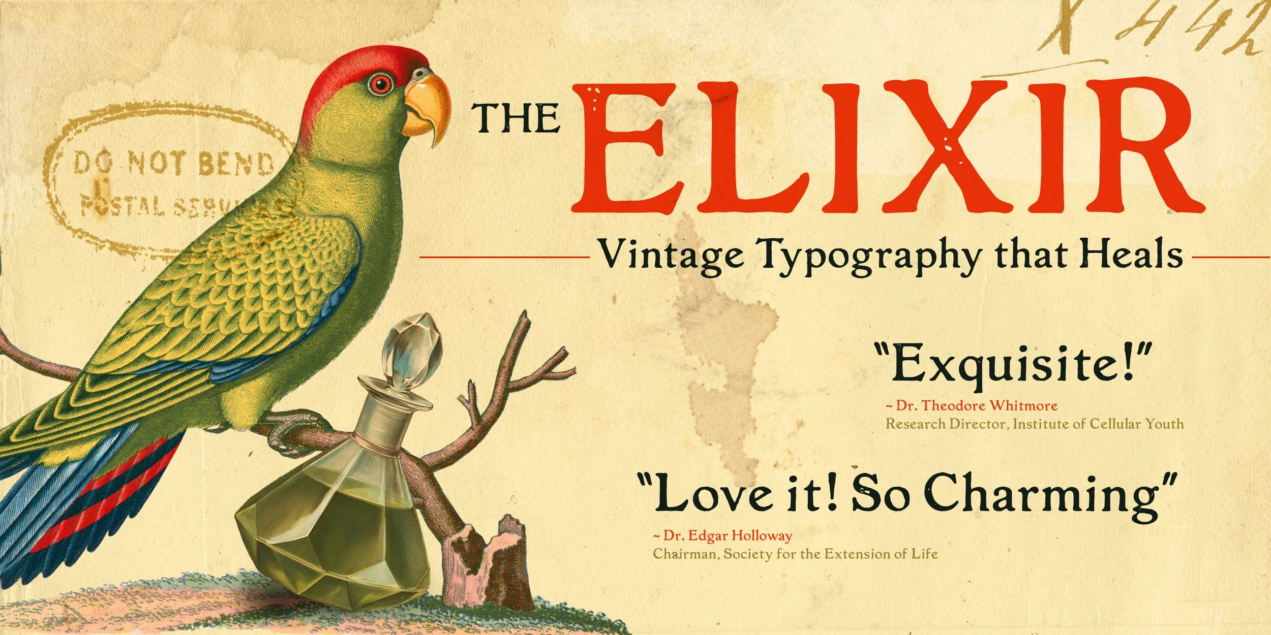 THE ELIXIR