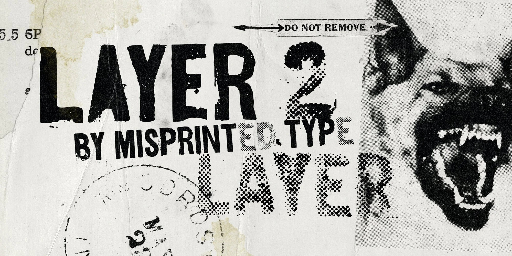LAYER 2
