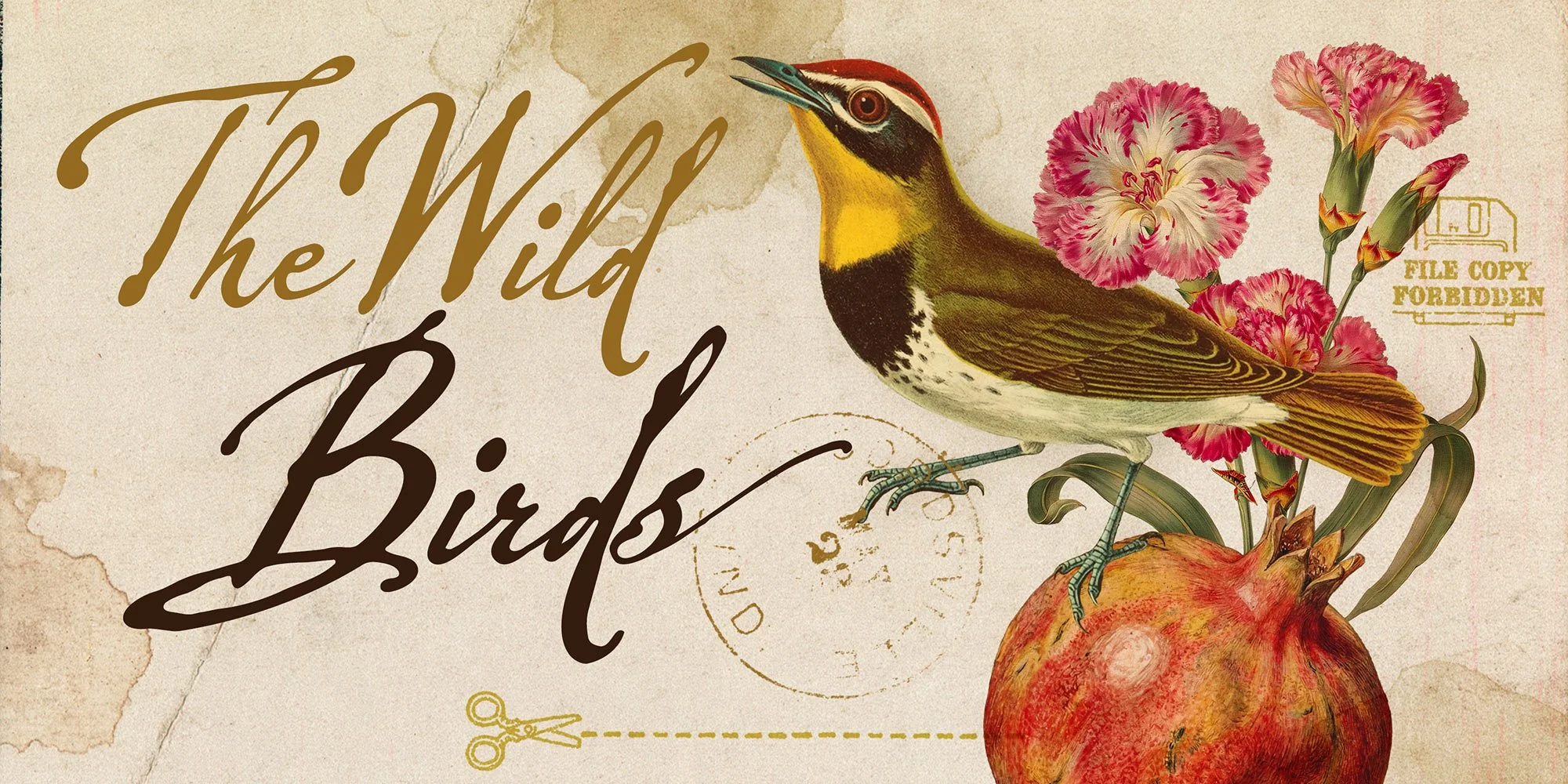 wildletters05b.jpg